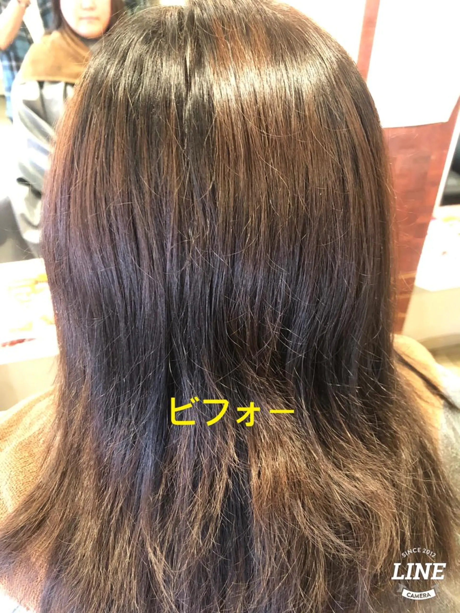 セミロング アッシュ アッシュブラウン レイヤーカット ウルフカット ウルフレイヤー エル美容室所属・織田 英之のヘアスタイル