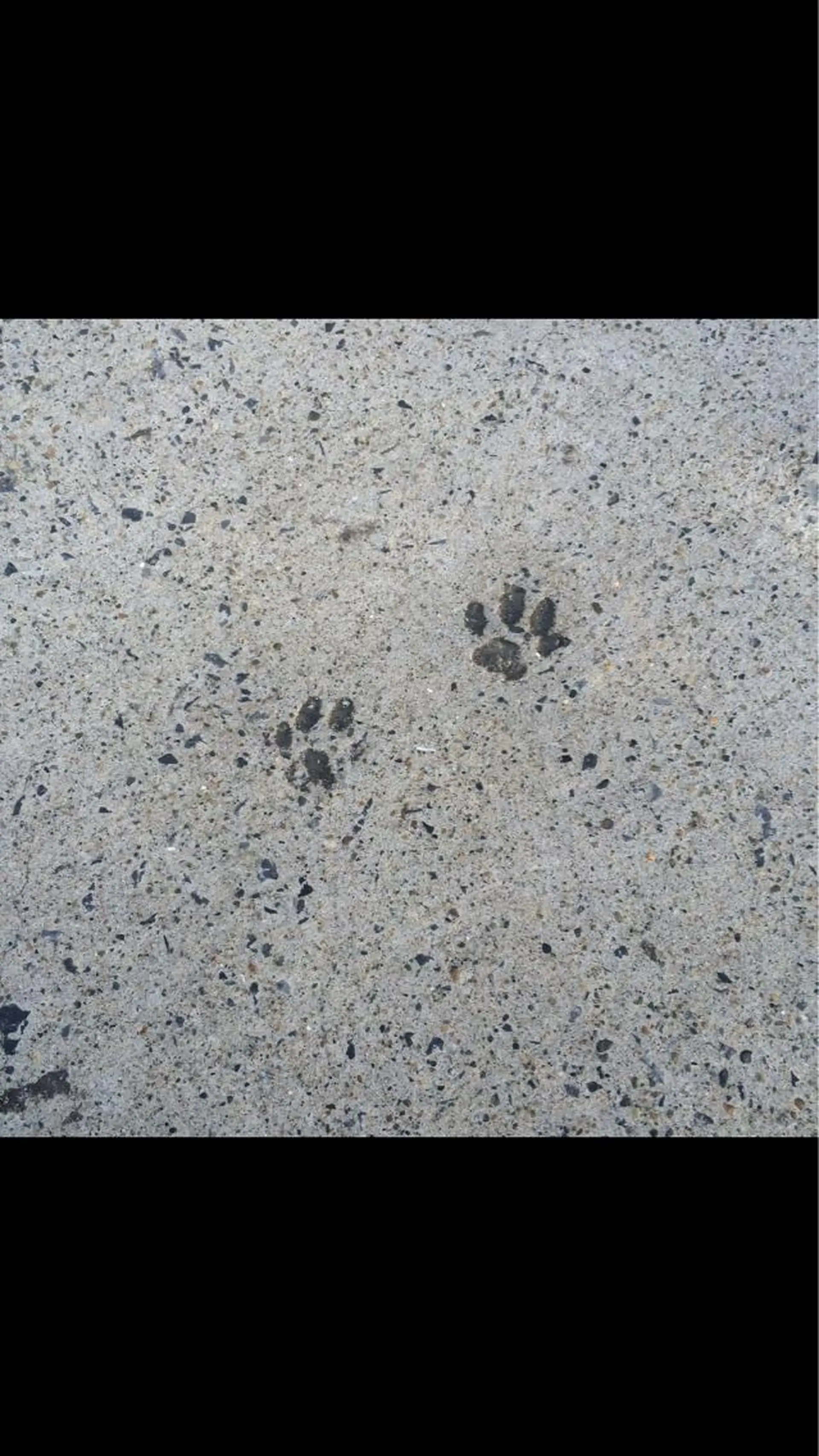 マツエク・マツパ なかむら 🪡のマツエク・マツパデザイン