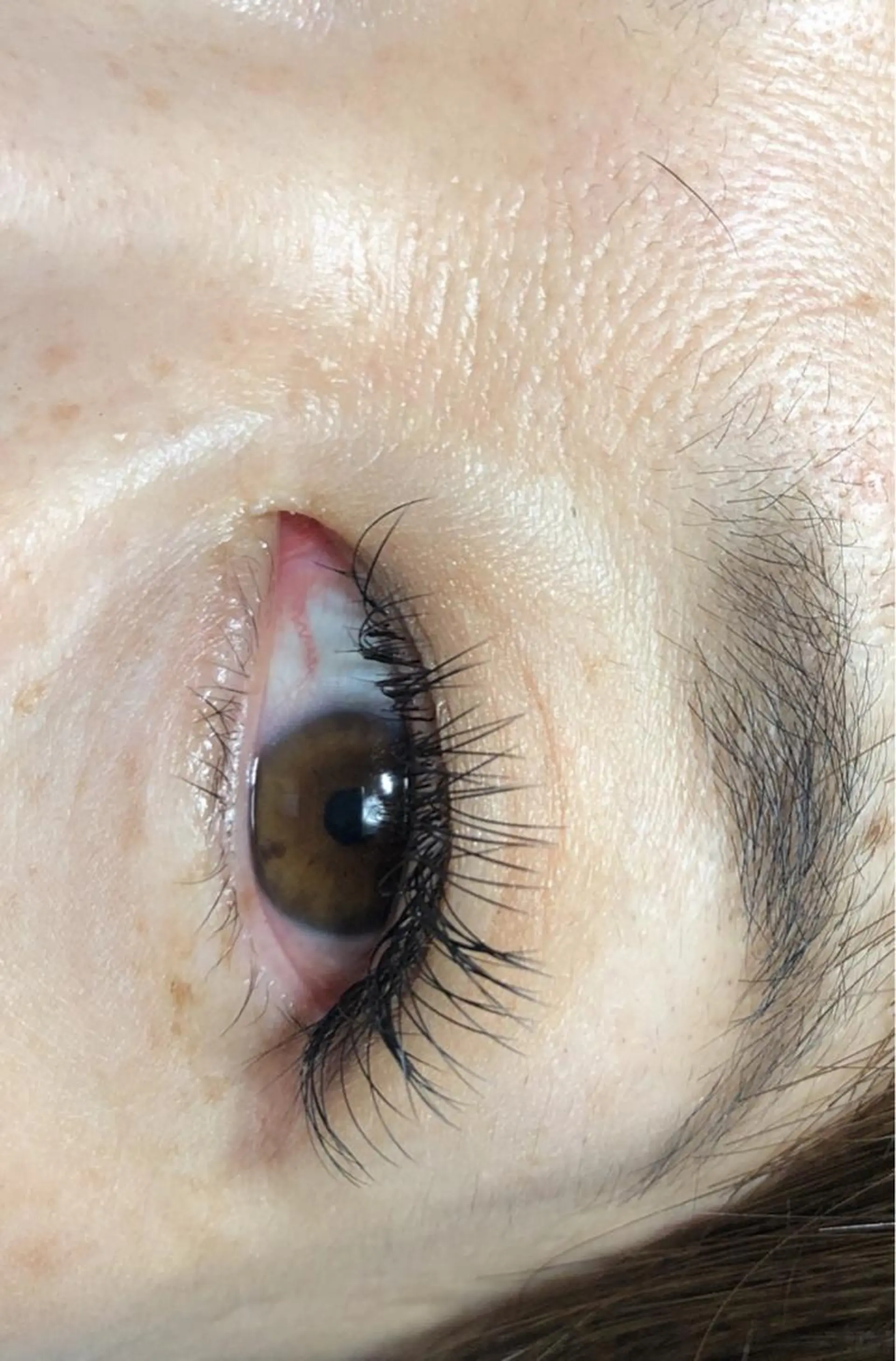 マツエク・マツパ 付け放題 フラットラッシュ Rei to　youのマツエク・マツパデザイン