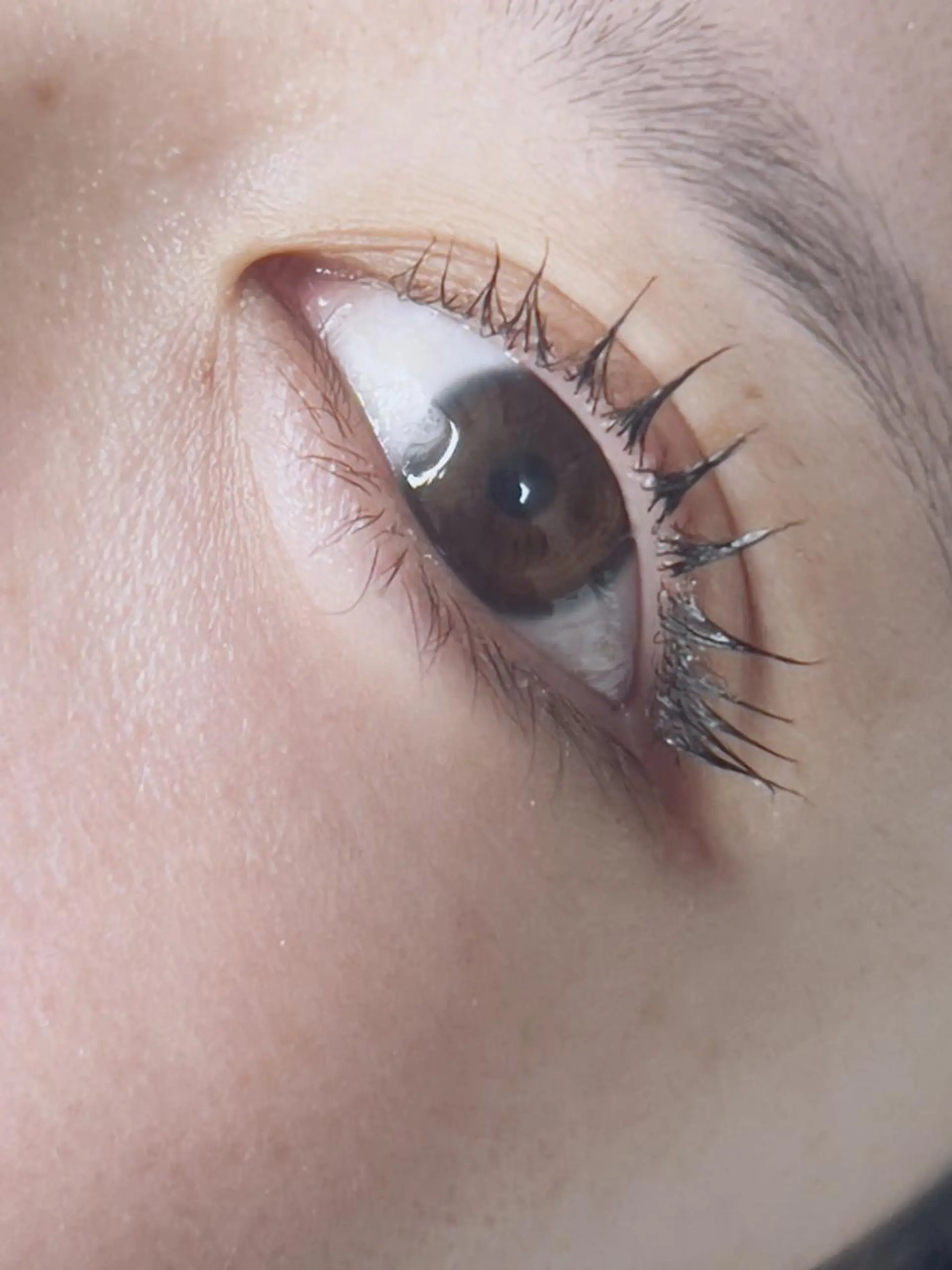 マツエク・マツパ Hera …のマツエク・マツパデザイン