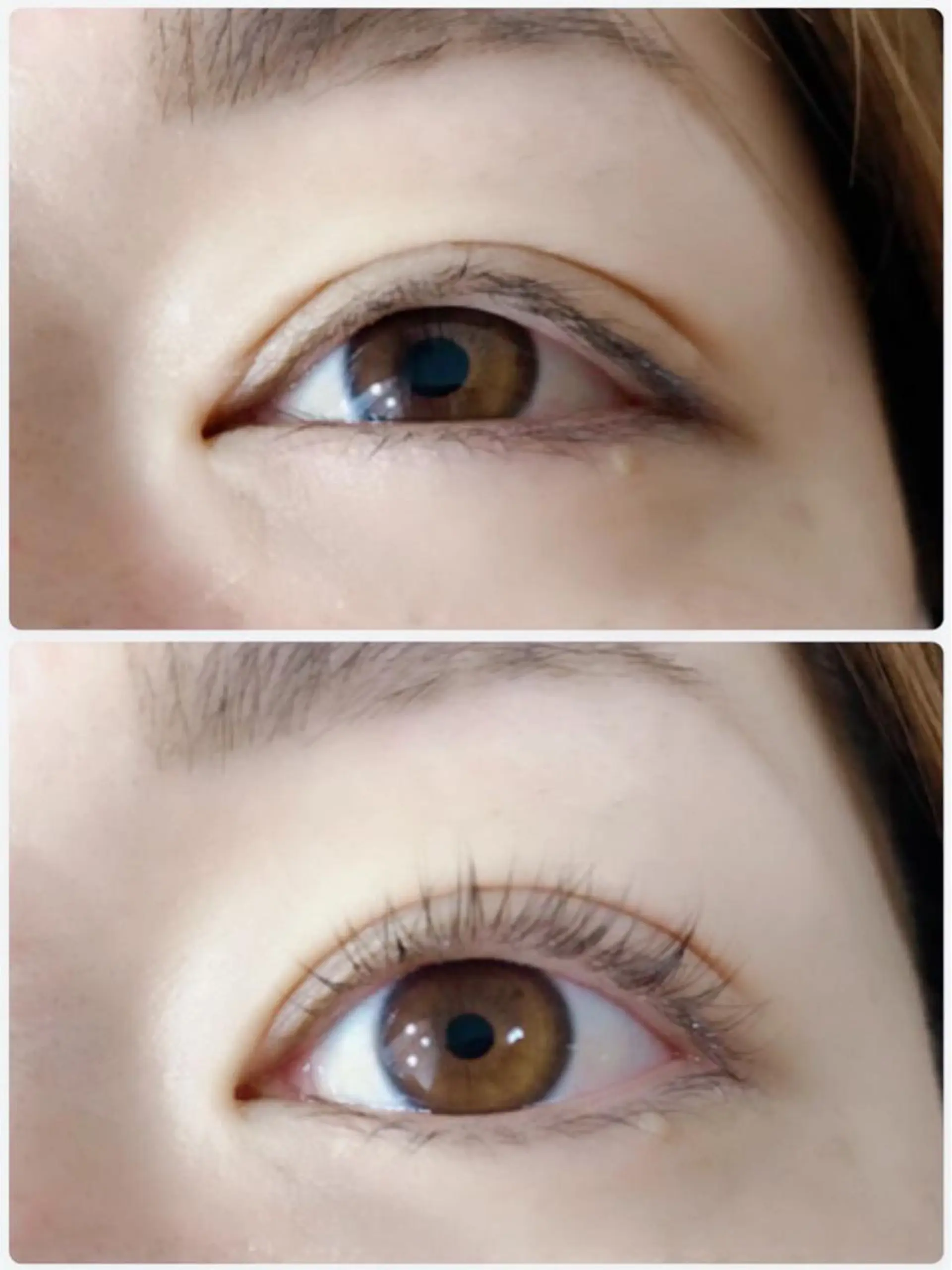 マツエク・マツパ パリジェンヌラッシュリフト Jelly Beans所属・小沼 絵菜のマツエク・マツパデザイン