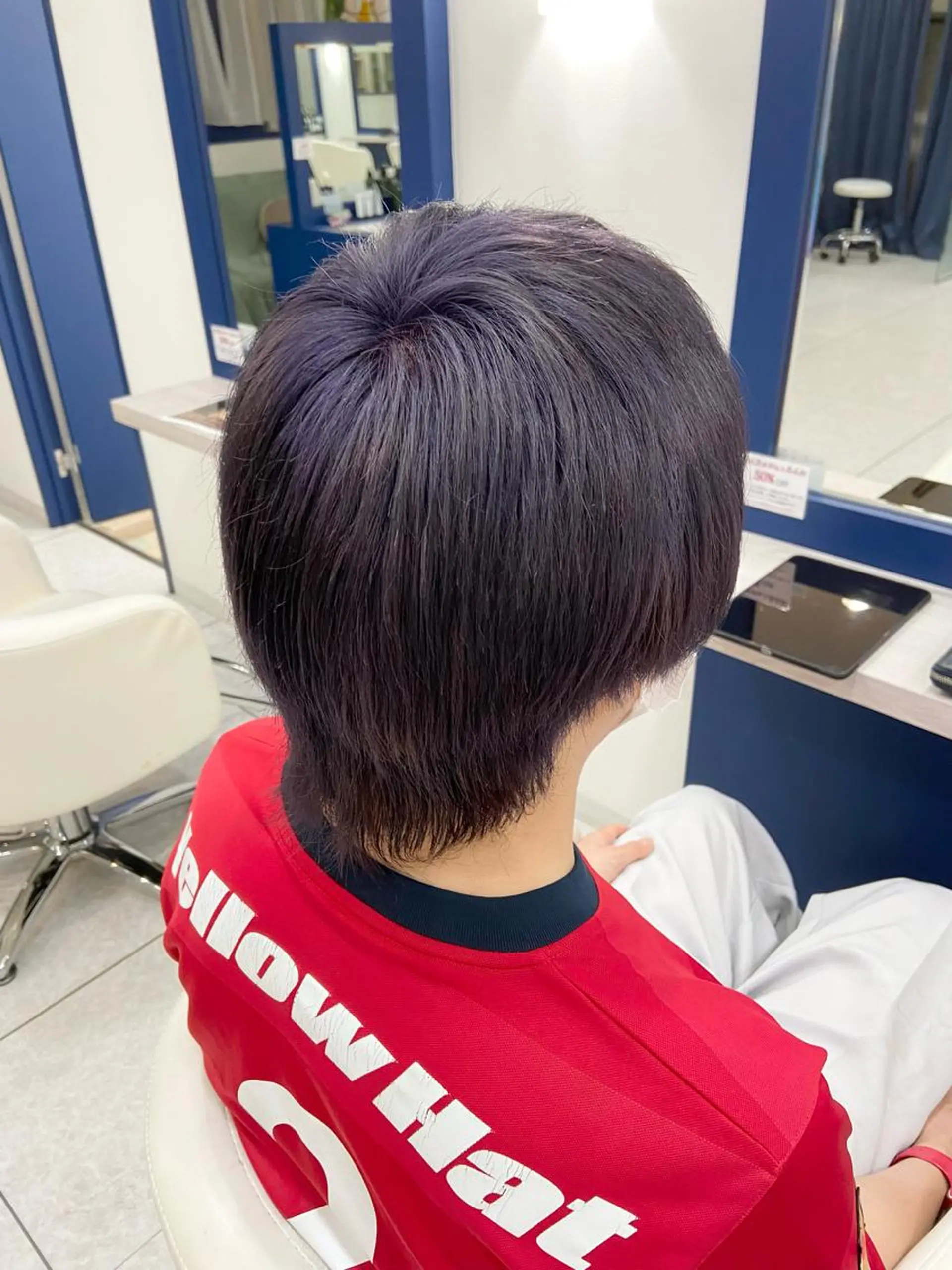 カラー ラベンダーカラー ラベンダーグレー 💎Eleanor ニイナ💎のヘアスタイル