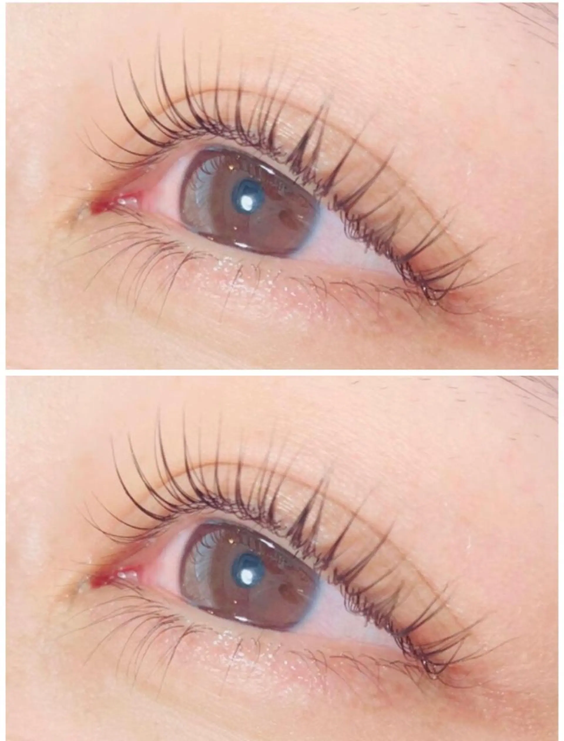 マツエク・マツパ パリジェンヌラッシュリフト 石渡このみ 🍊レイヤーカットのヘアスタイル