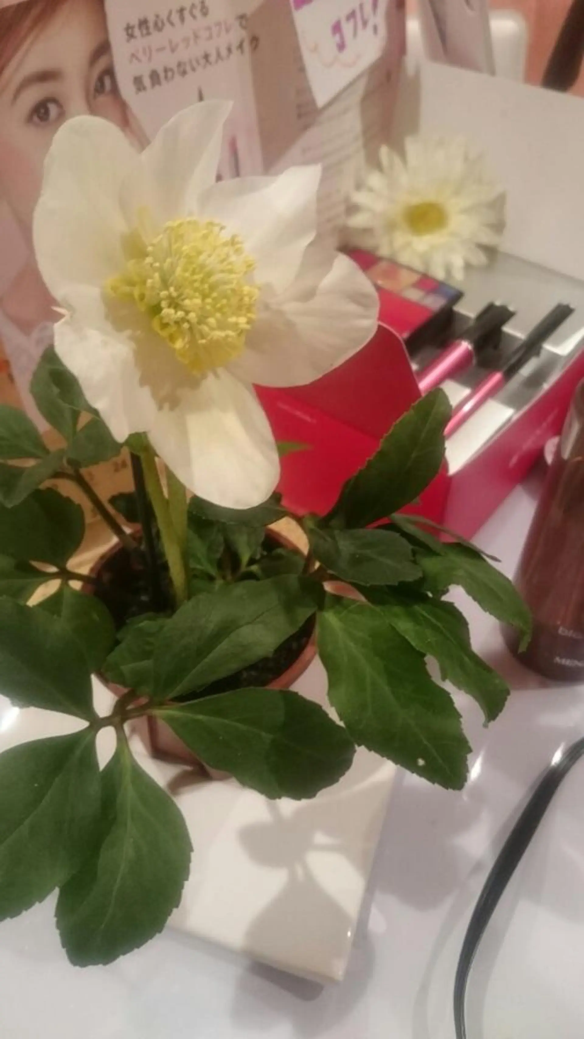 メナード水戸見川店　MENARD所属・黒坂 リカのその他イメージ