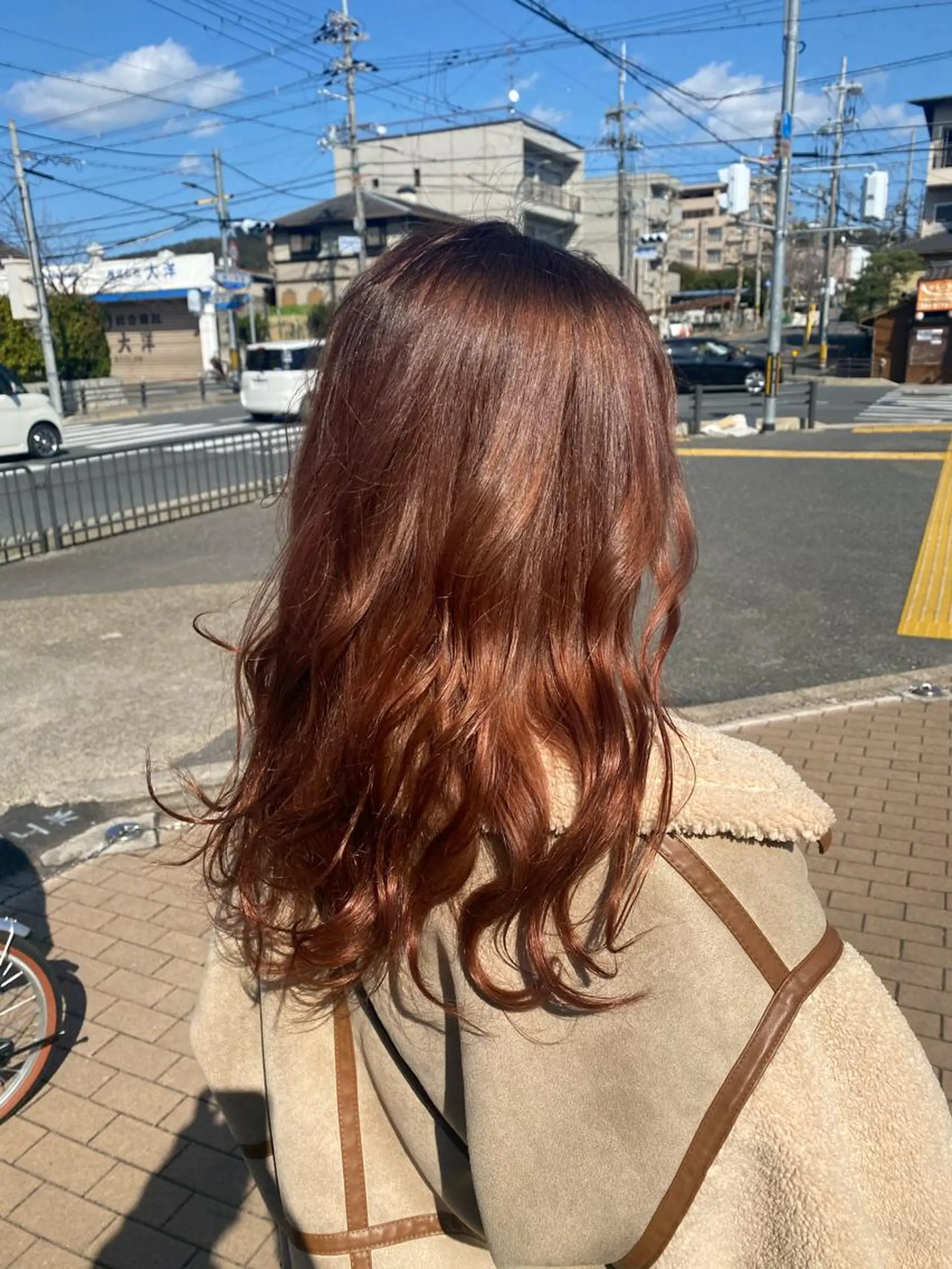 ロング カラー OXCREATION / ガクトのヘアスタイル