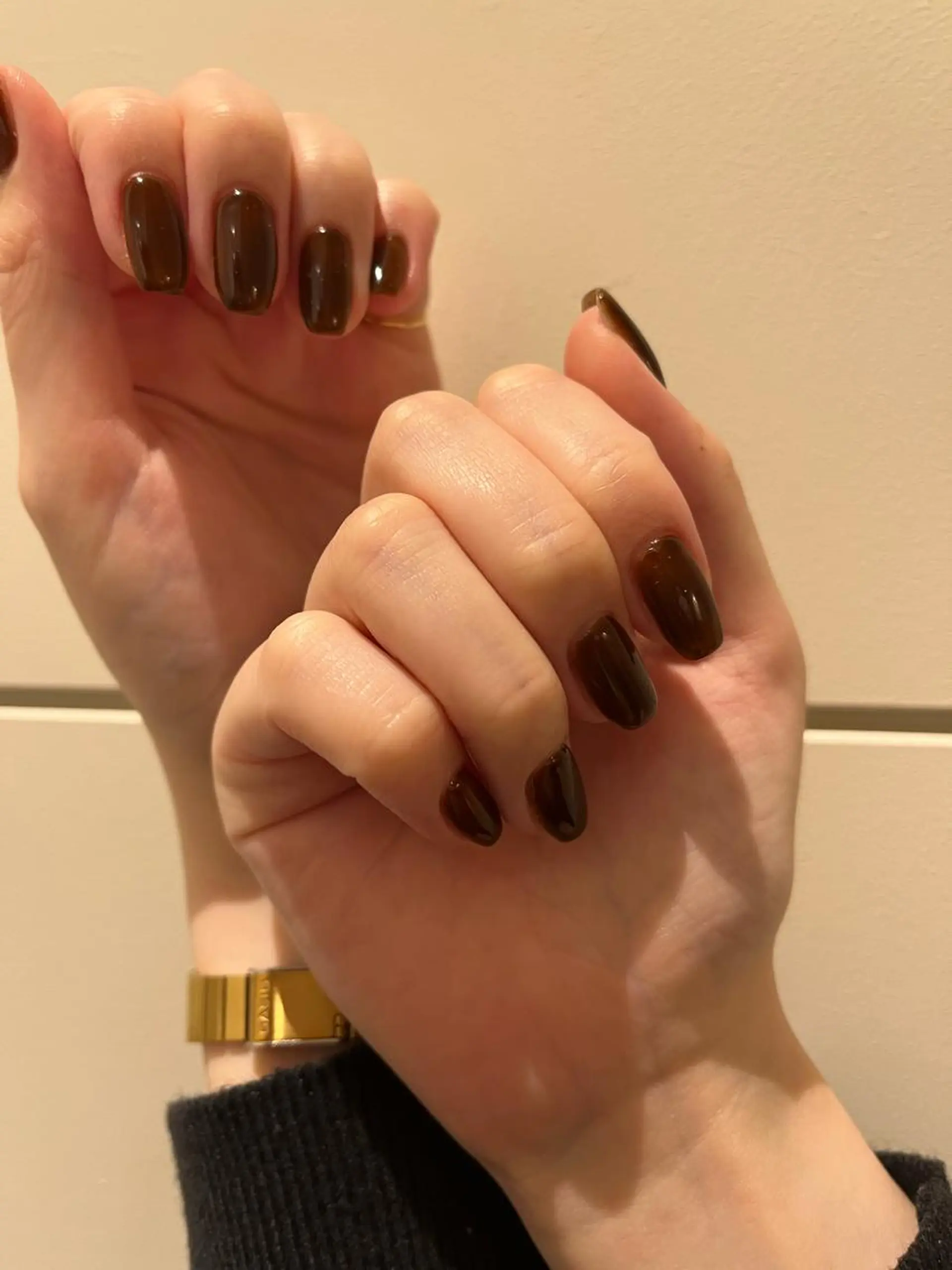 ネイル ブラウン Momone ／渋谷／パラジェルのネイルデザイン