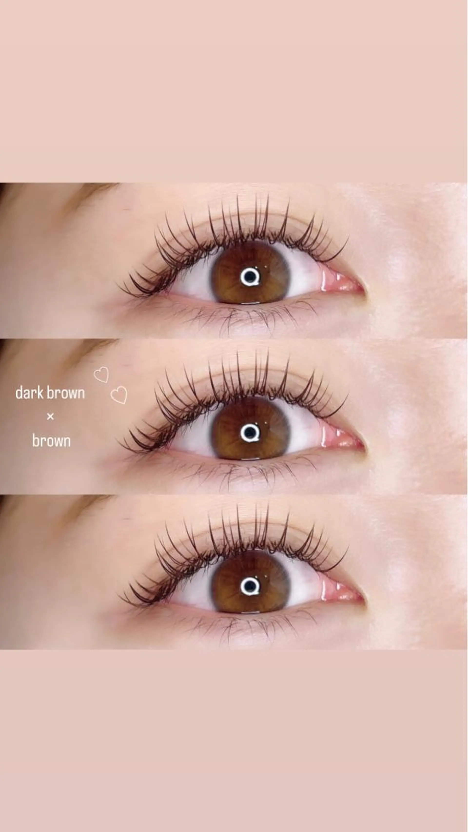 マツエク・マツパ カラーマツエク Dカール ナチュラル taniuchi ramuのマツエク・マツパデザイン