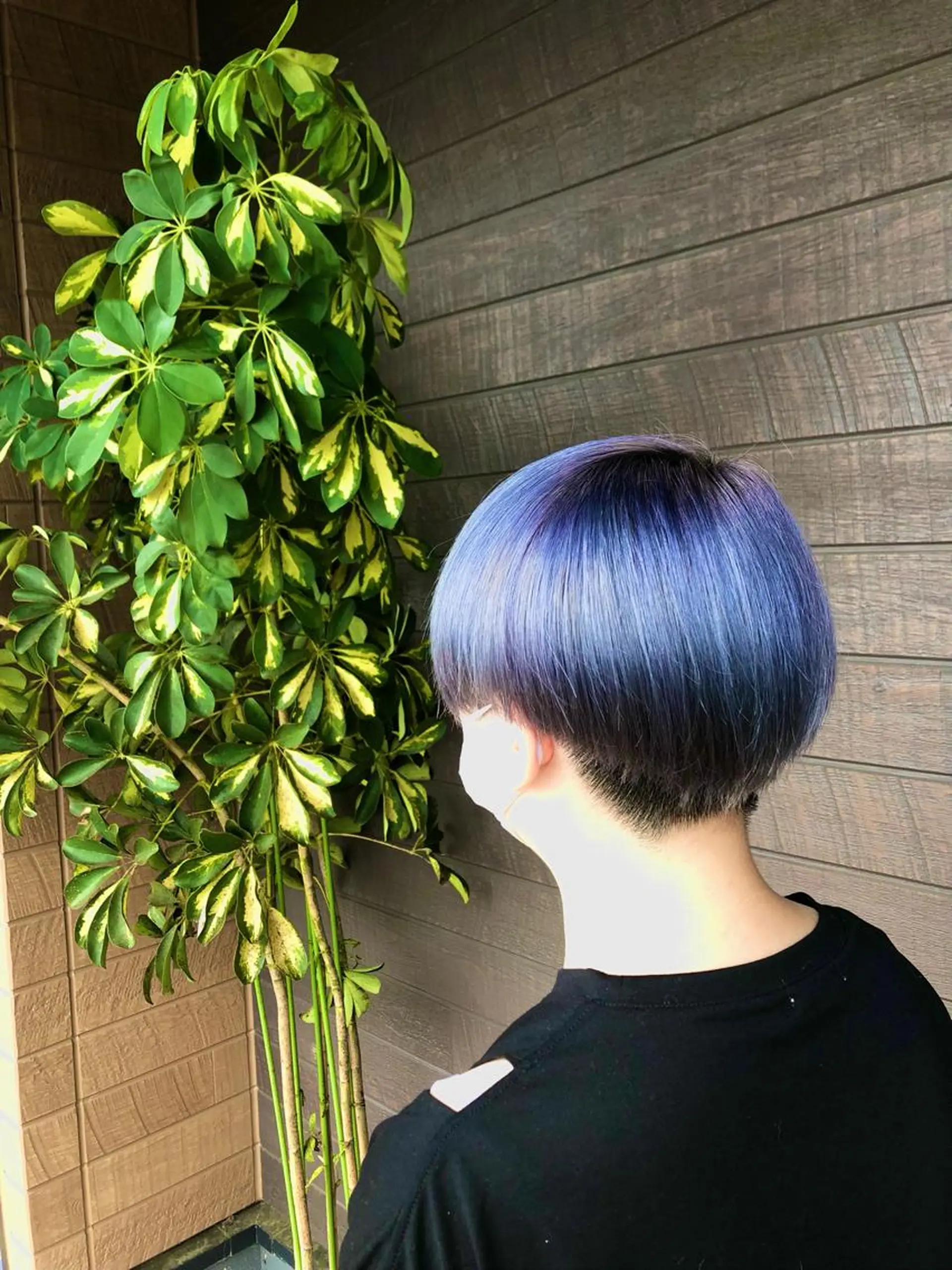 ショート 太白区白髪ぼかし/ ボブカット/千葉達人のヘアスタイル