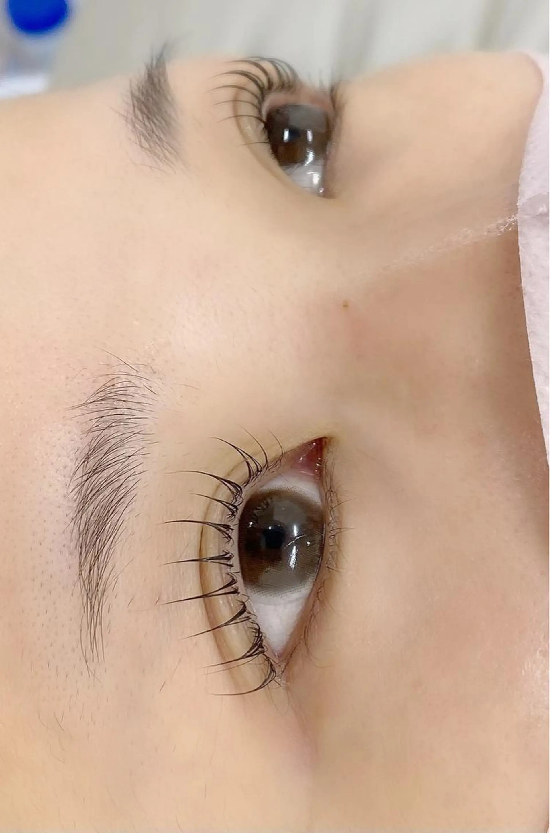 マツエク・マツパ 🌼Alba🌼 犬馬塲のマツエク・マツパデザイン