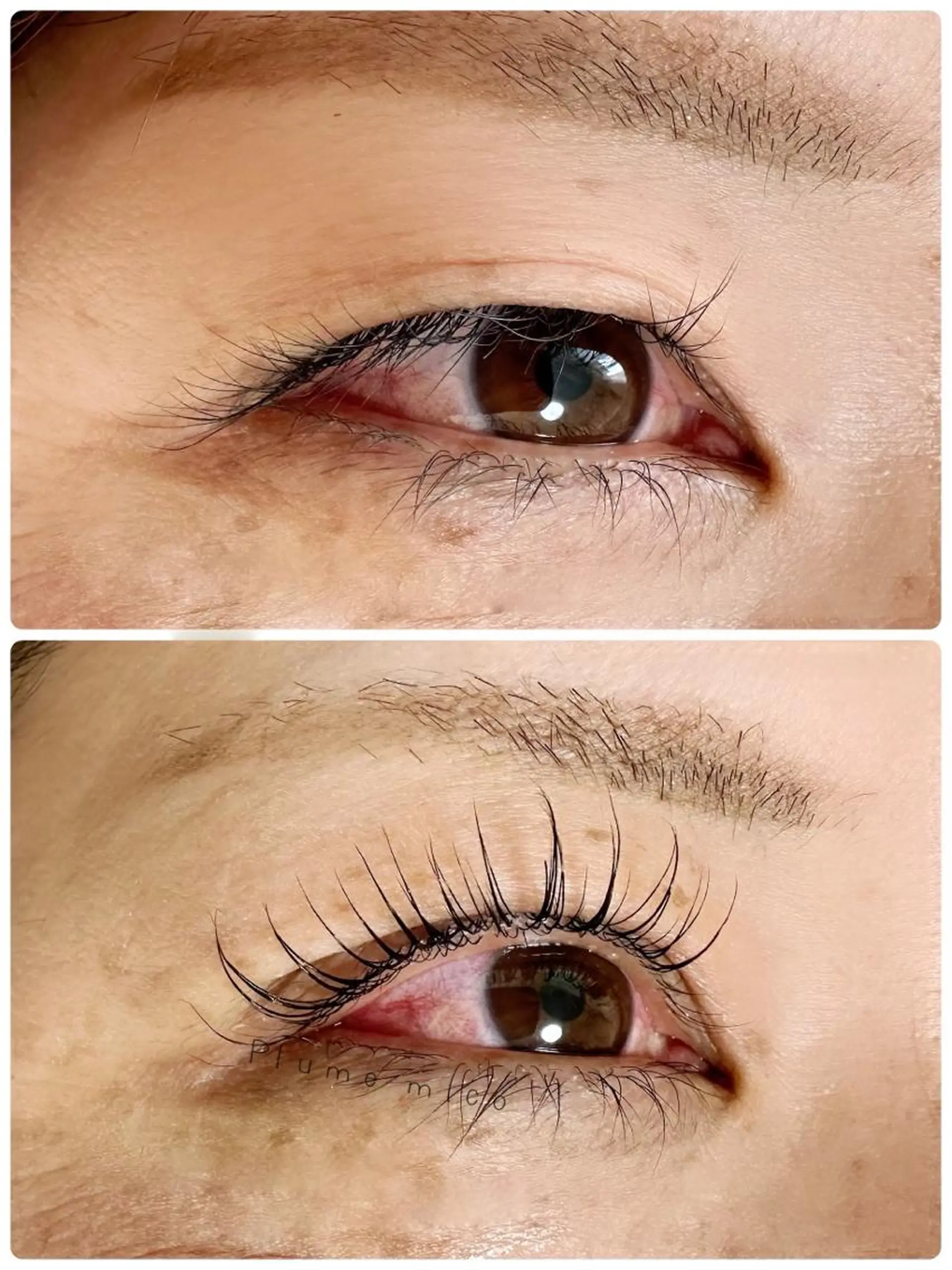 マツエク・マツパ マツパ Plume micoのマツエク・マツパデザイン