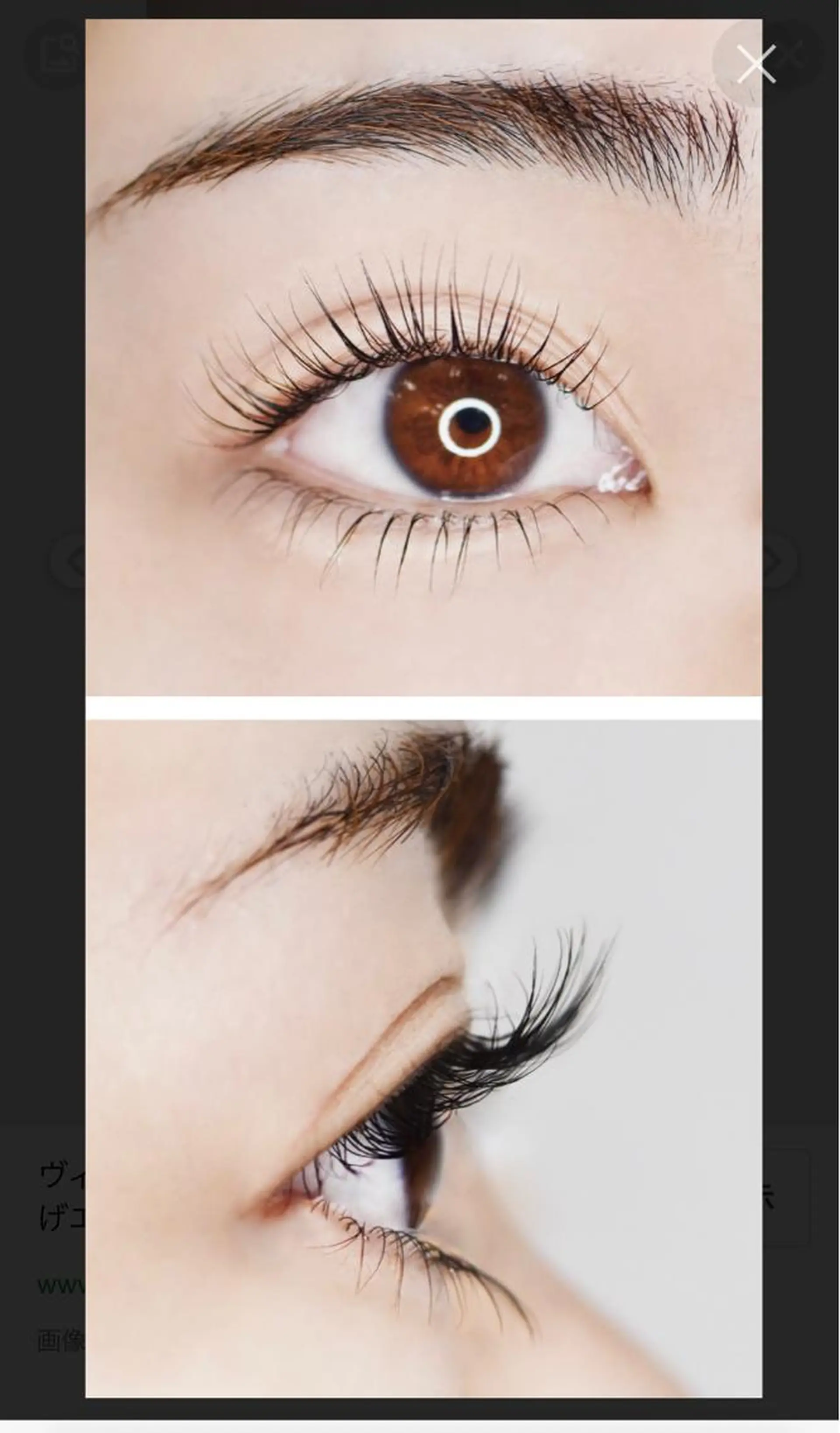 マツエク・マツパ マツパ Lemon 小岩店のマツエク・マツパデザイン