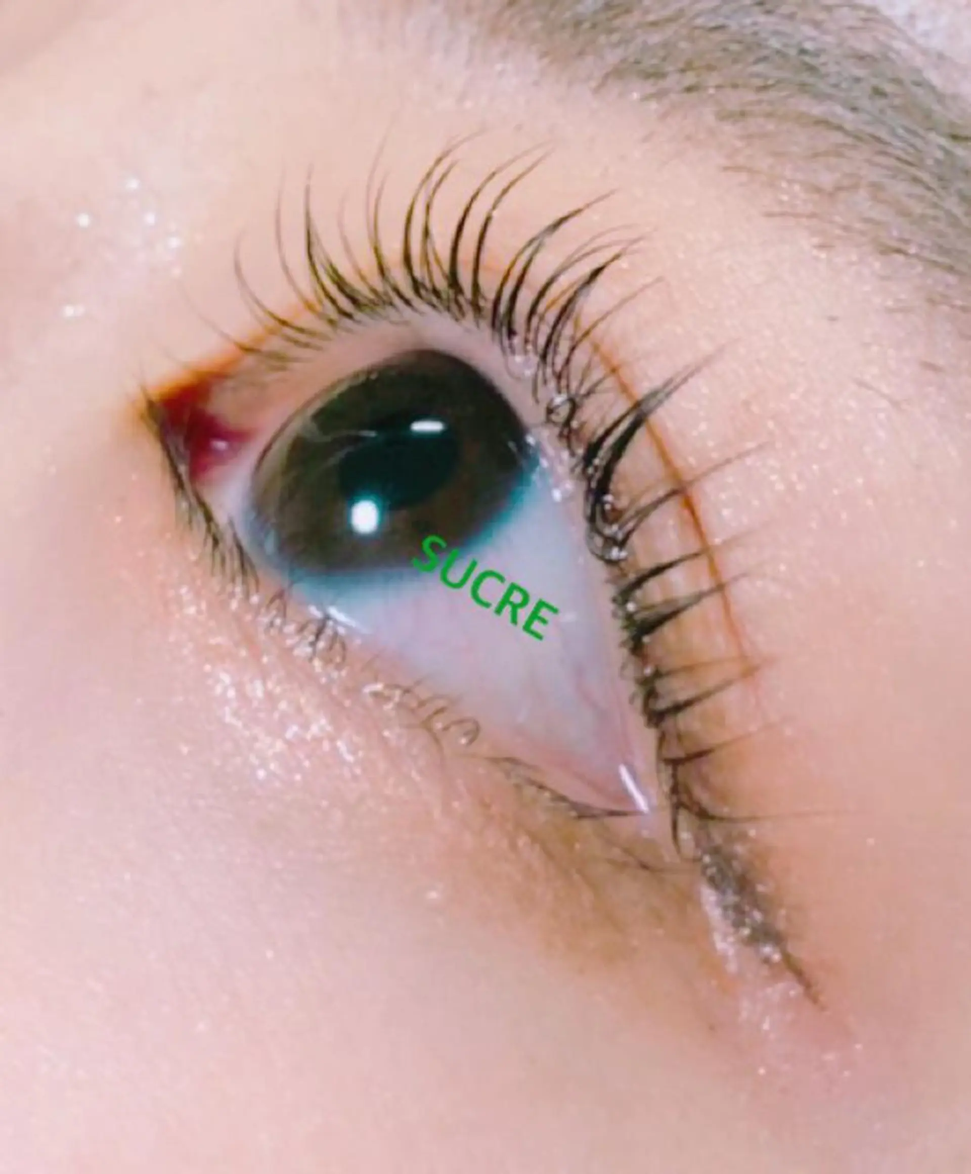 マツエク・マツパ EyelashSalon Liz.&所属・Liz.&現ino 平田のマツエク・マツパデザイン