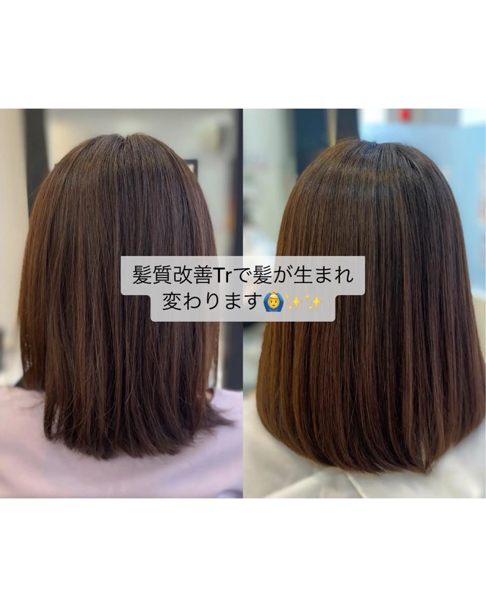 セミロング YASU🍎CUT 赤系カラー/ヘアケアのヘアスタイル