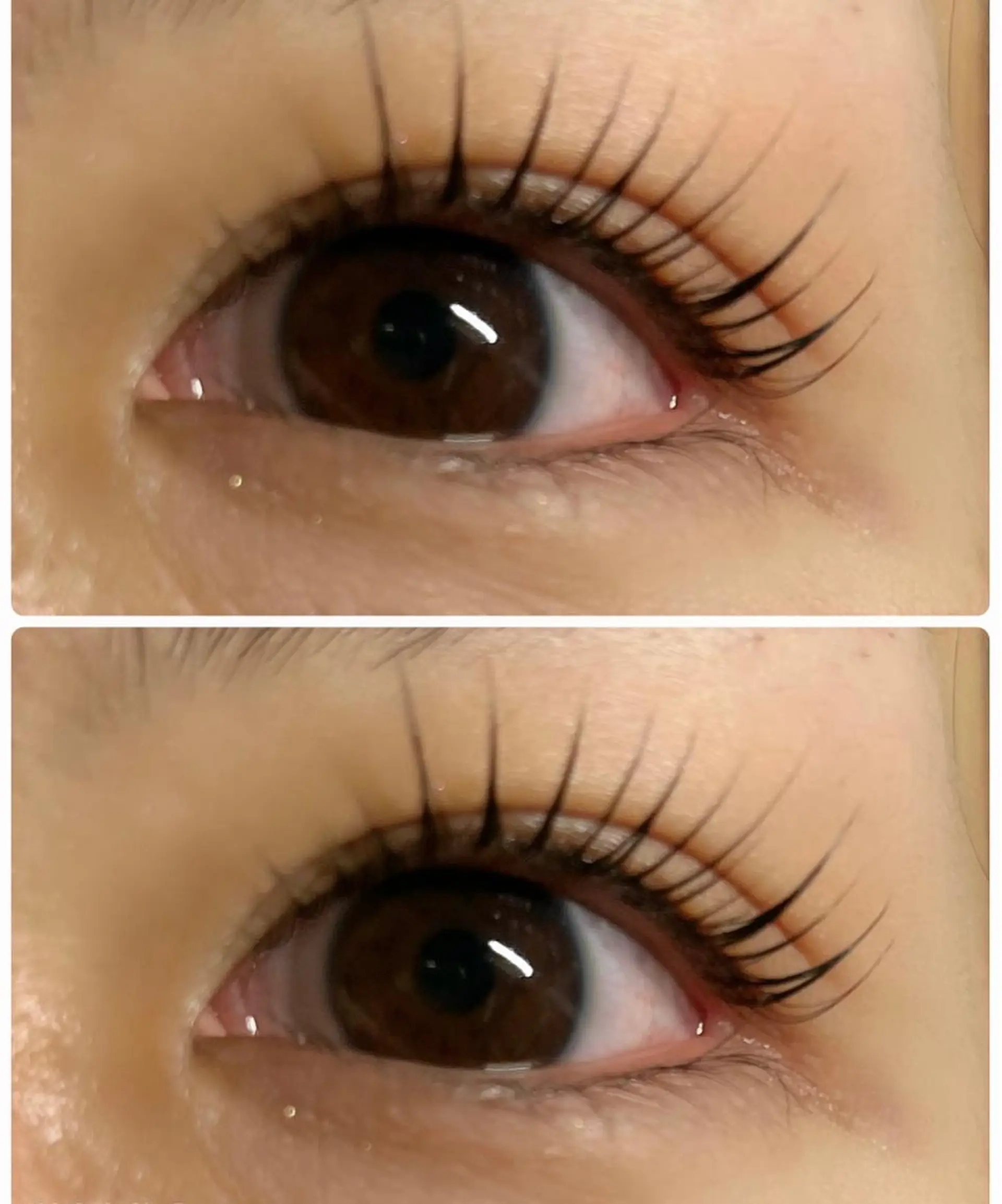 マツエク・マツパ マツパ◎LED マツエク,モチ◎のマツエク・マツパデザイン