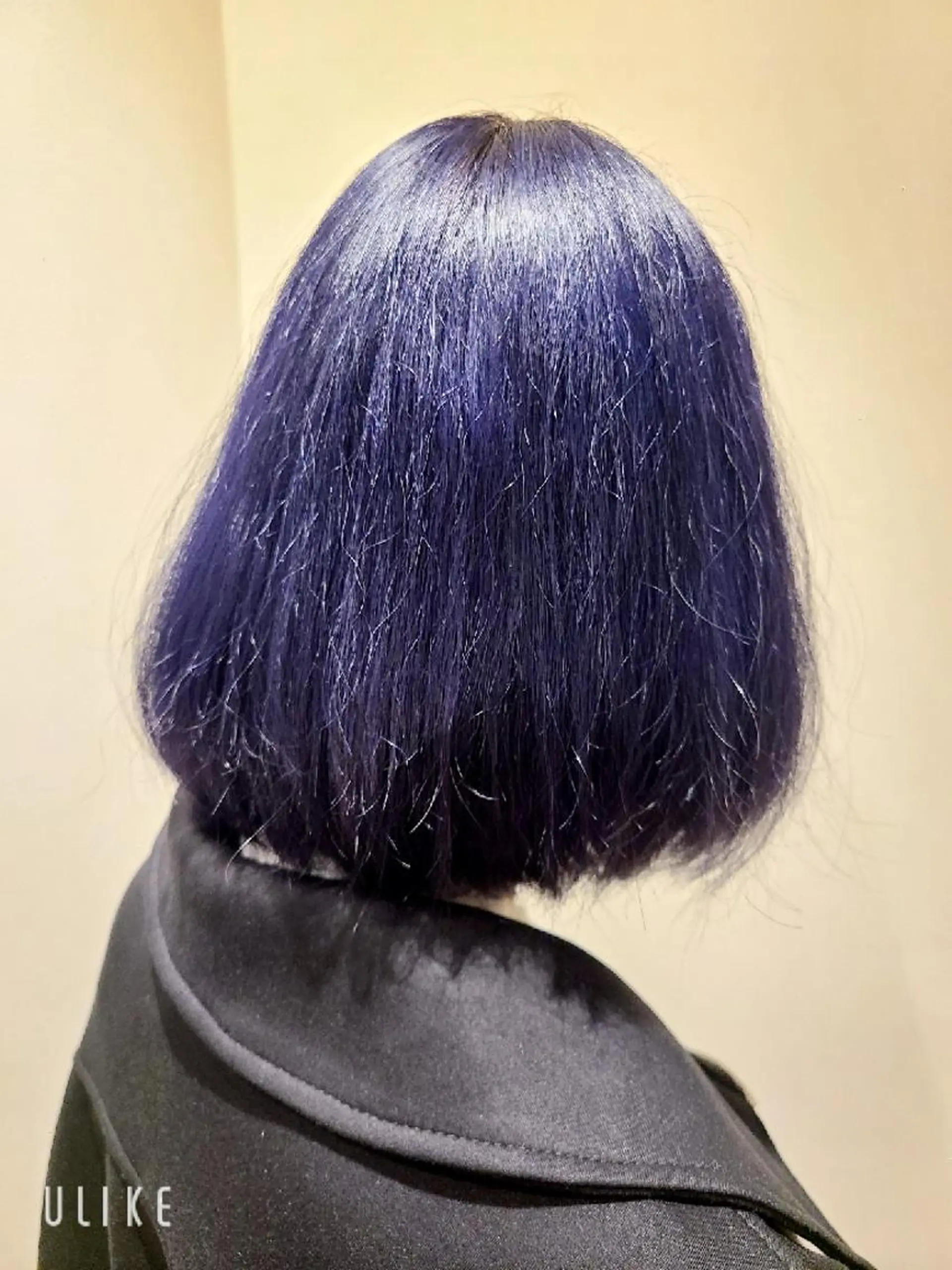 ミディアム カラー 木村 直哉のヘアスタイル