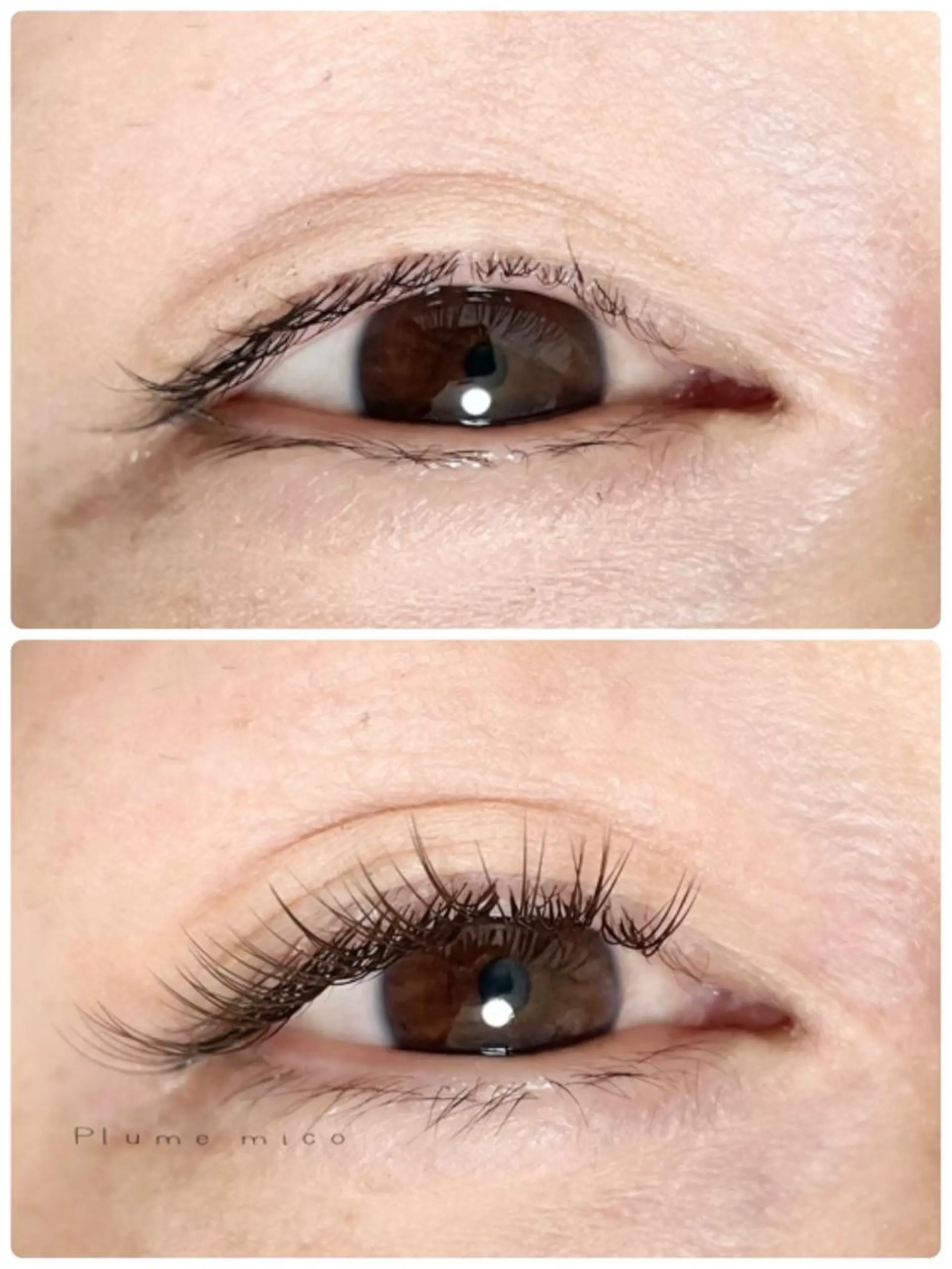 マツエク・マツパ ナチュラル マツエク Plume micoのマツエク・マツパデザイン