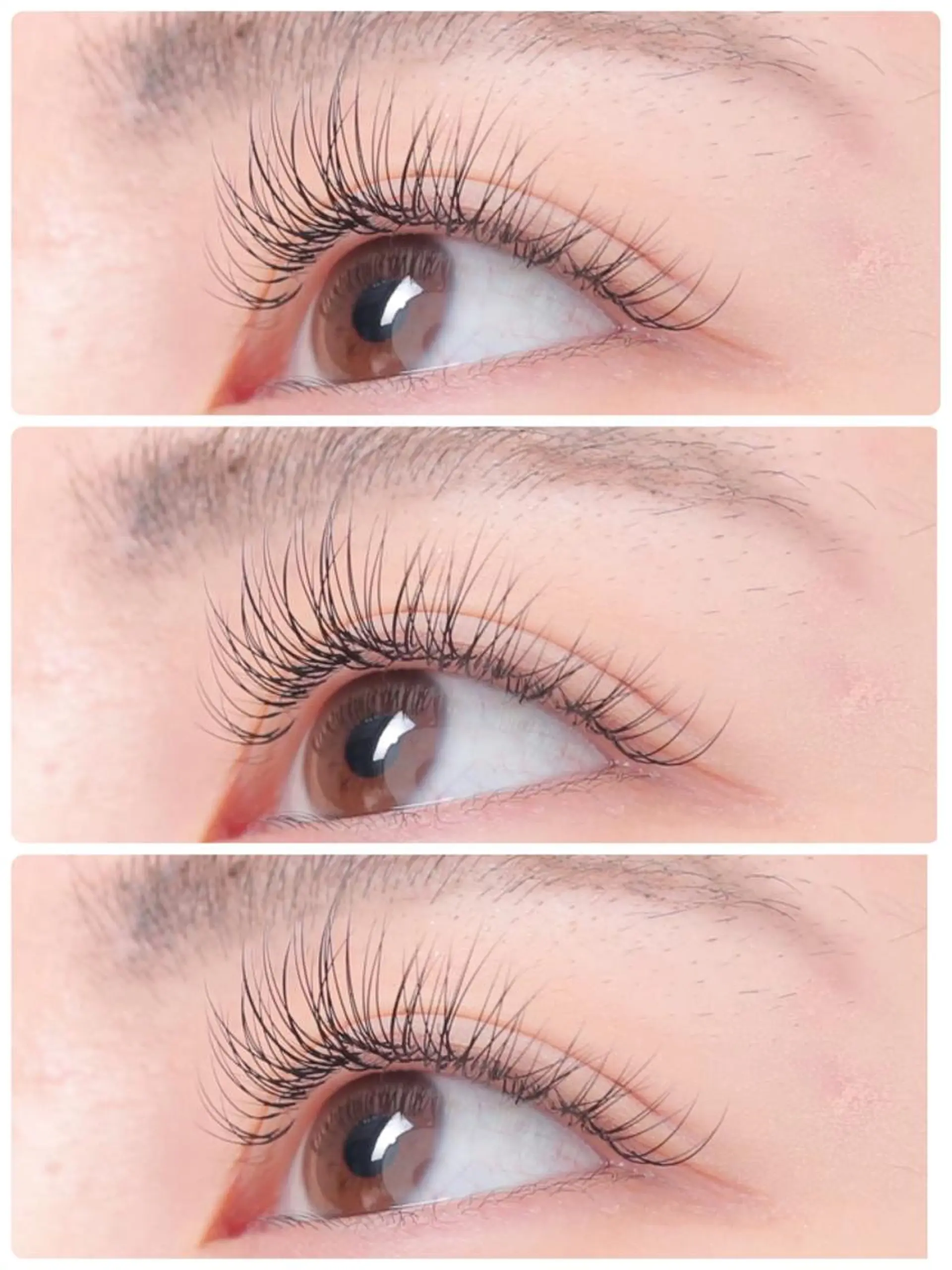 マツエク・マツパ platinam doll南草津店のマツエク・マツパデザイン