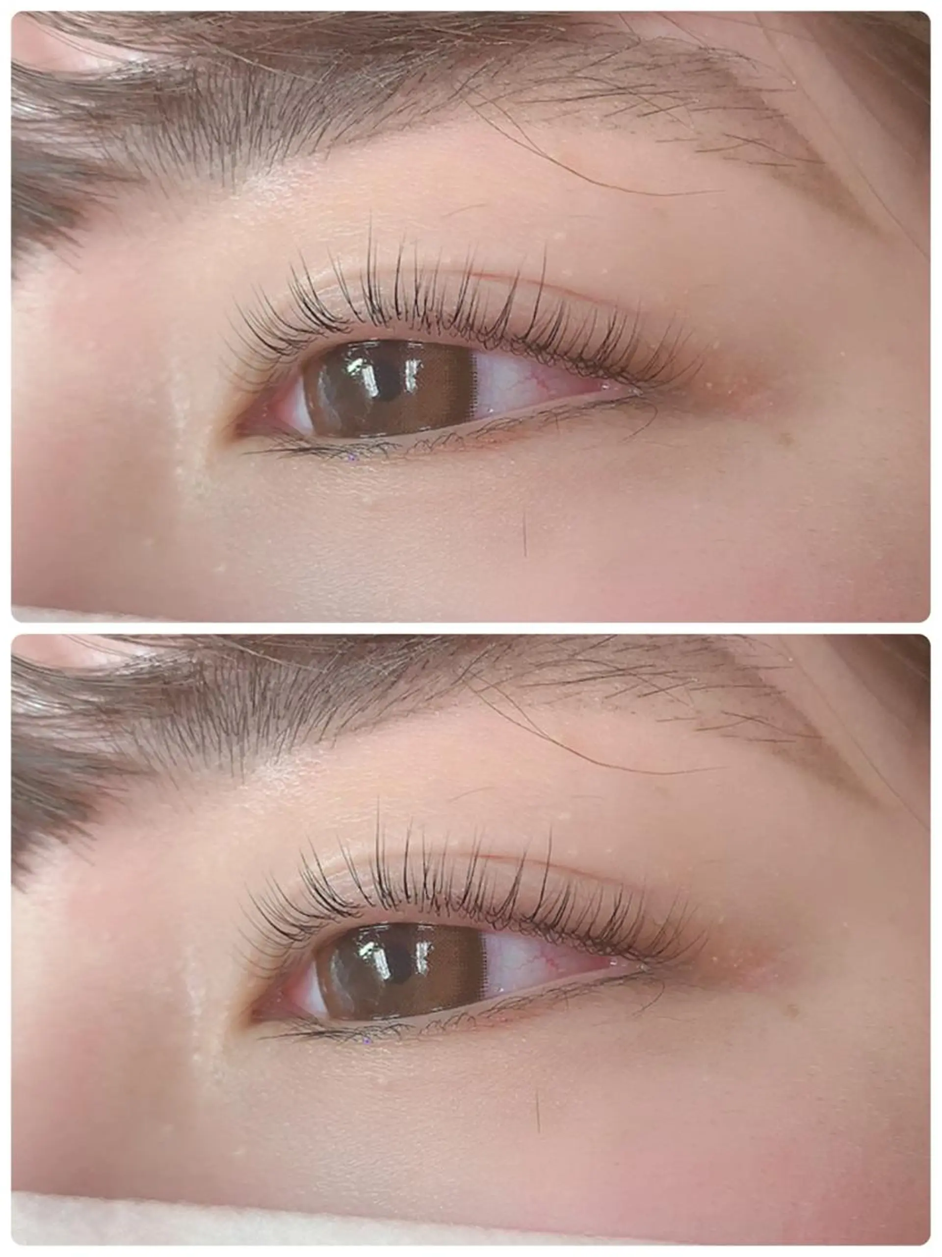 マツエク・マツパ Lucia志木店所属・Lucia志木店 ISHIOKAのその他イメージ