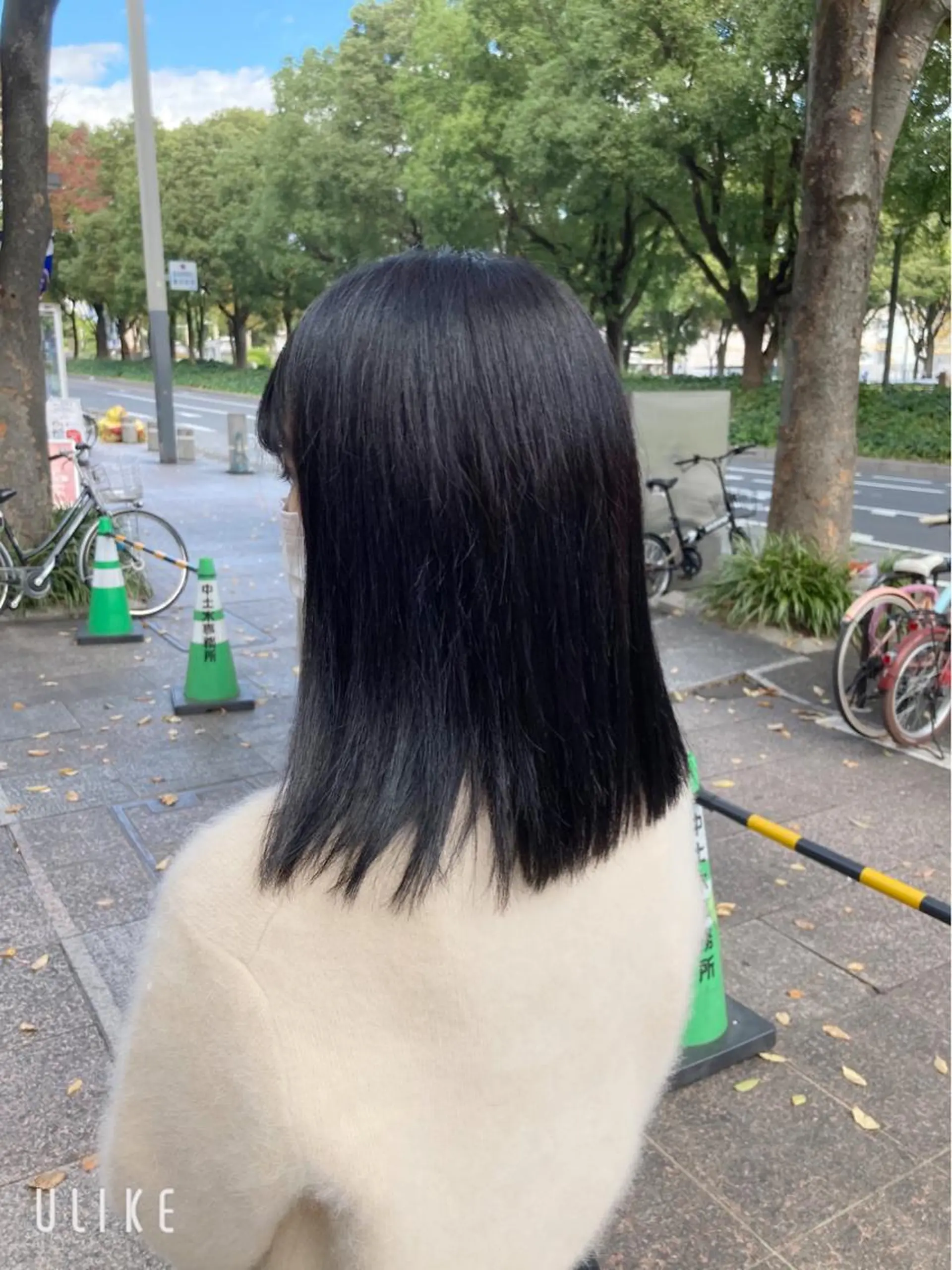 ミディアム カラー 黒髪 ブルーカラー ブルーブラック miku🖤名駅￤顔 周り￤推し活前ものヘアスタイル