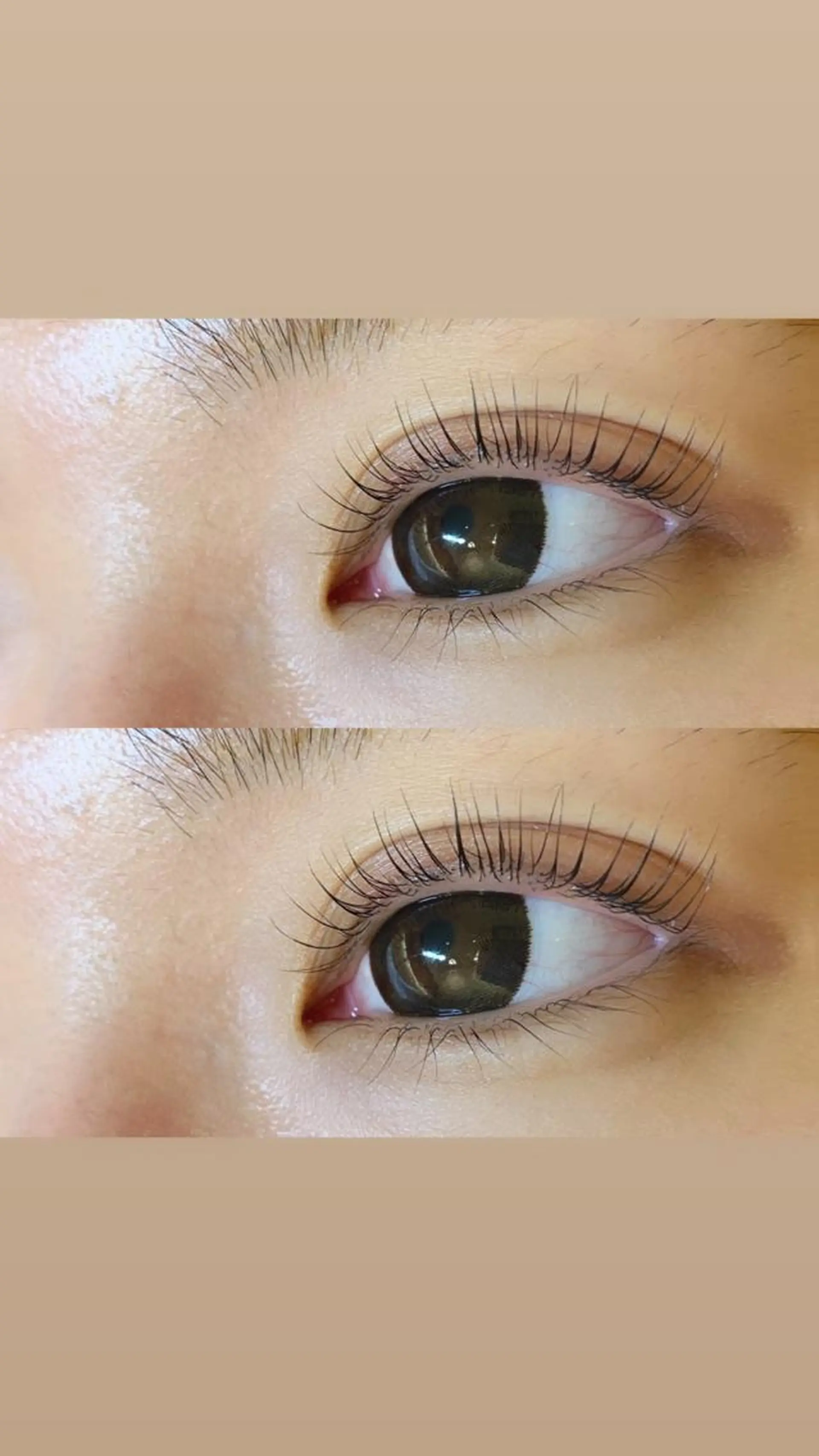 マツエク・マツパ パリジェンヌラッシュリフト マツパ Salon de beauté CocoNuts所属・MISAKI SAGAのマツエク・マツパデザイン