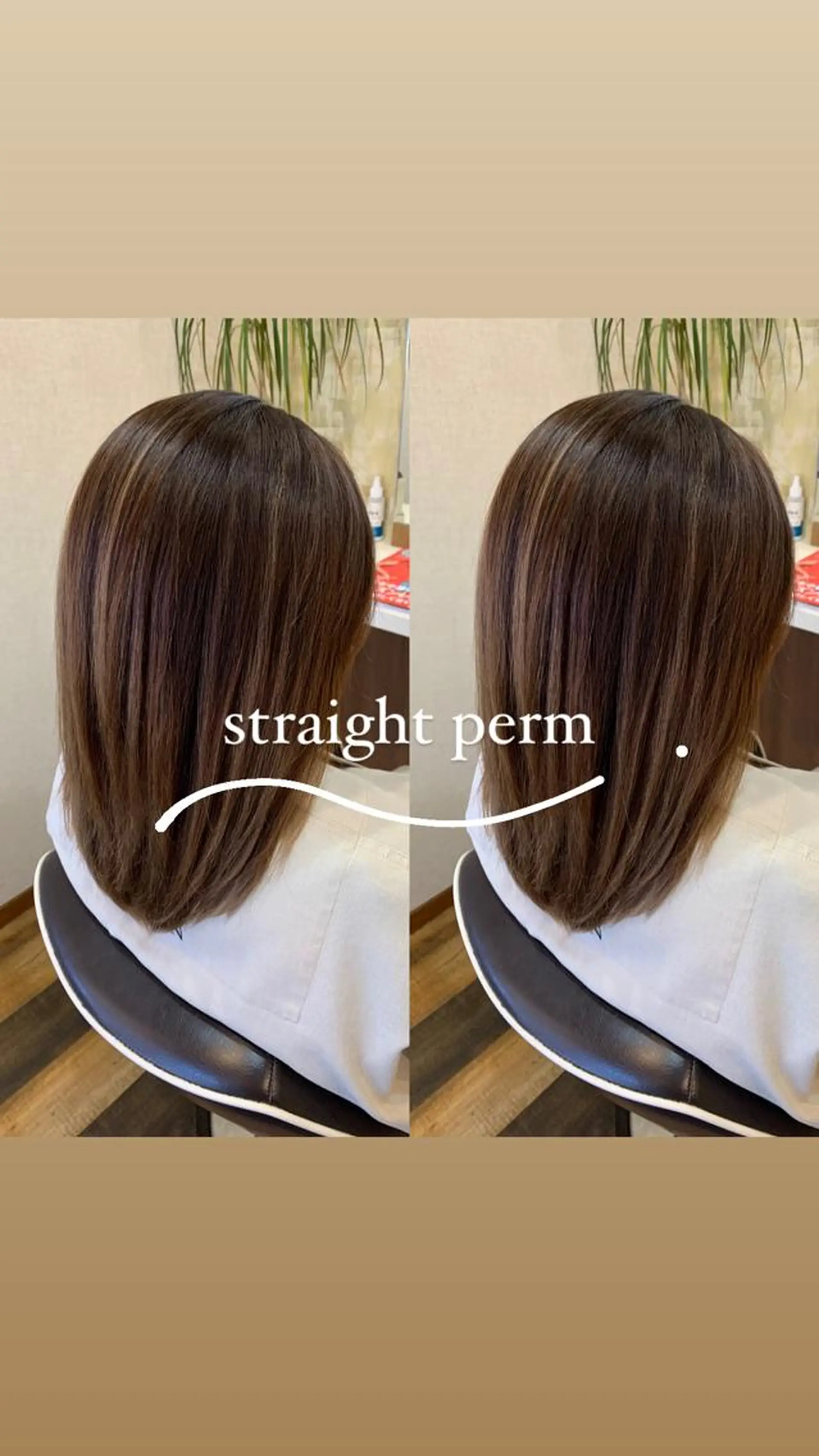 セミロング カラー 🐸鈴木 綾乃🐸のヘアスタイル