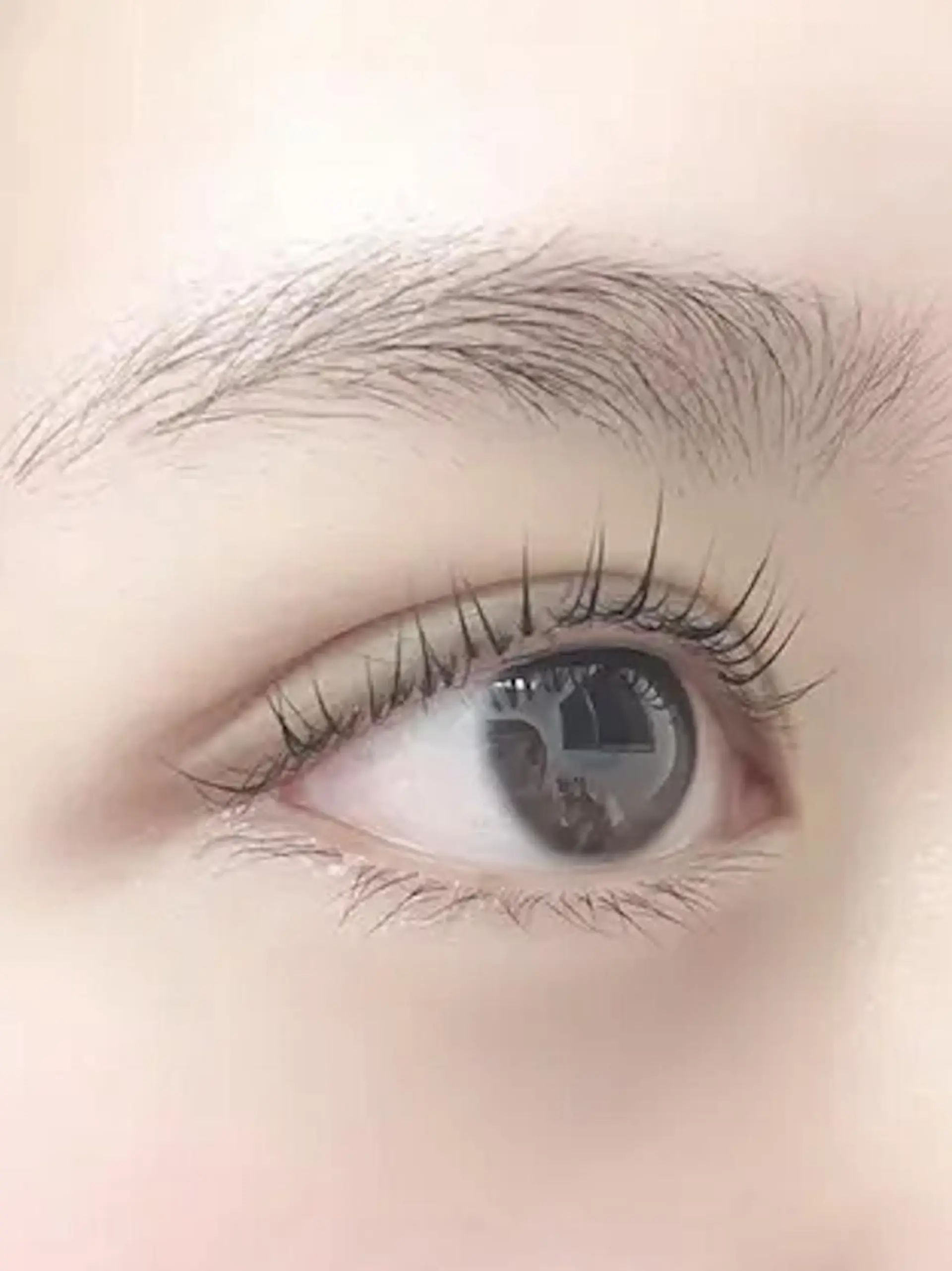 マツエク・マツパ まつげパーマ専門店 シャルナ　船橋店のマツエク・マツパデザイン