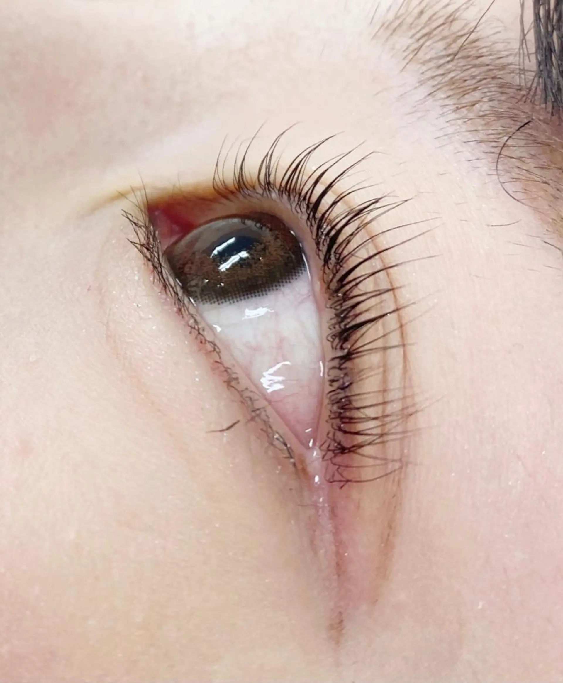 マツエク・マツパ マツパ eminy lash 【エミニーラッシュ】のマツエク・マツパデザイン