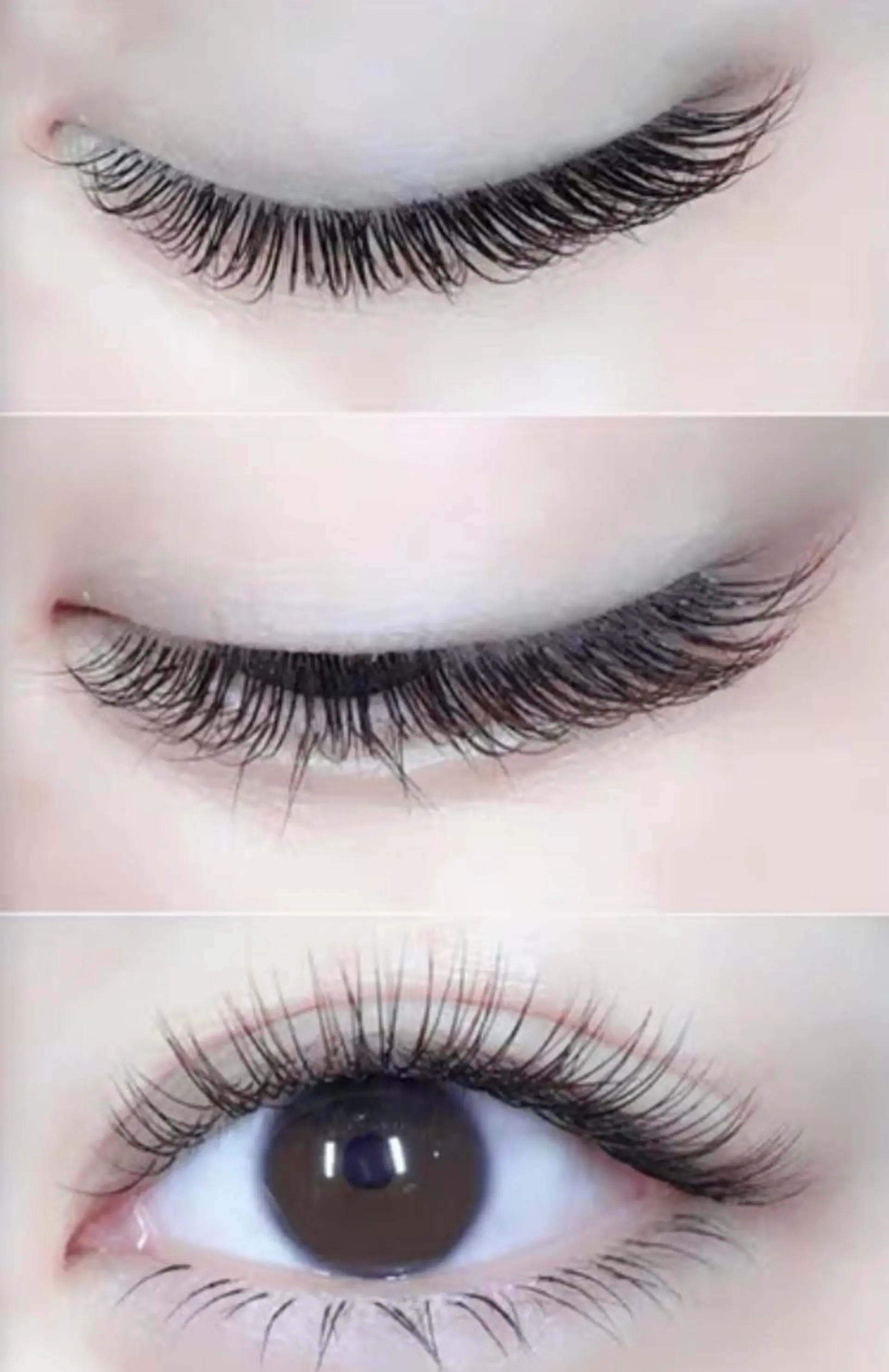 マツエク・マツパ マツエク Cute B e au t yのマツエク・マツパデザイン