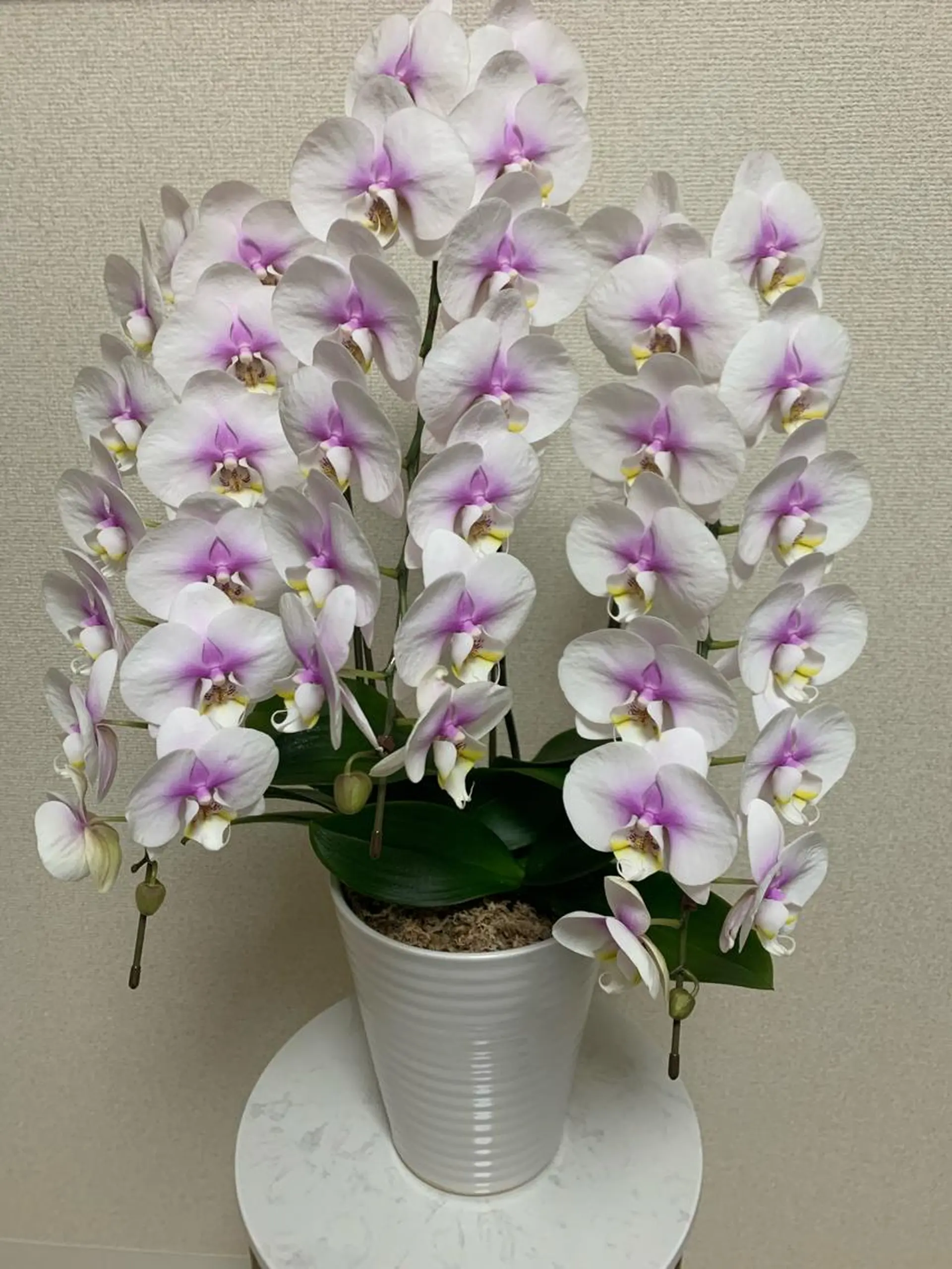 ヴィーナス ビューティーのエステ・リラクイメージ