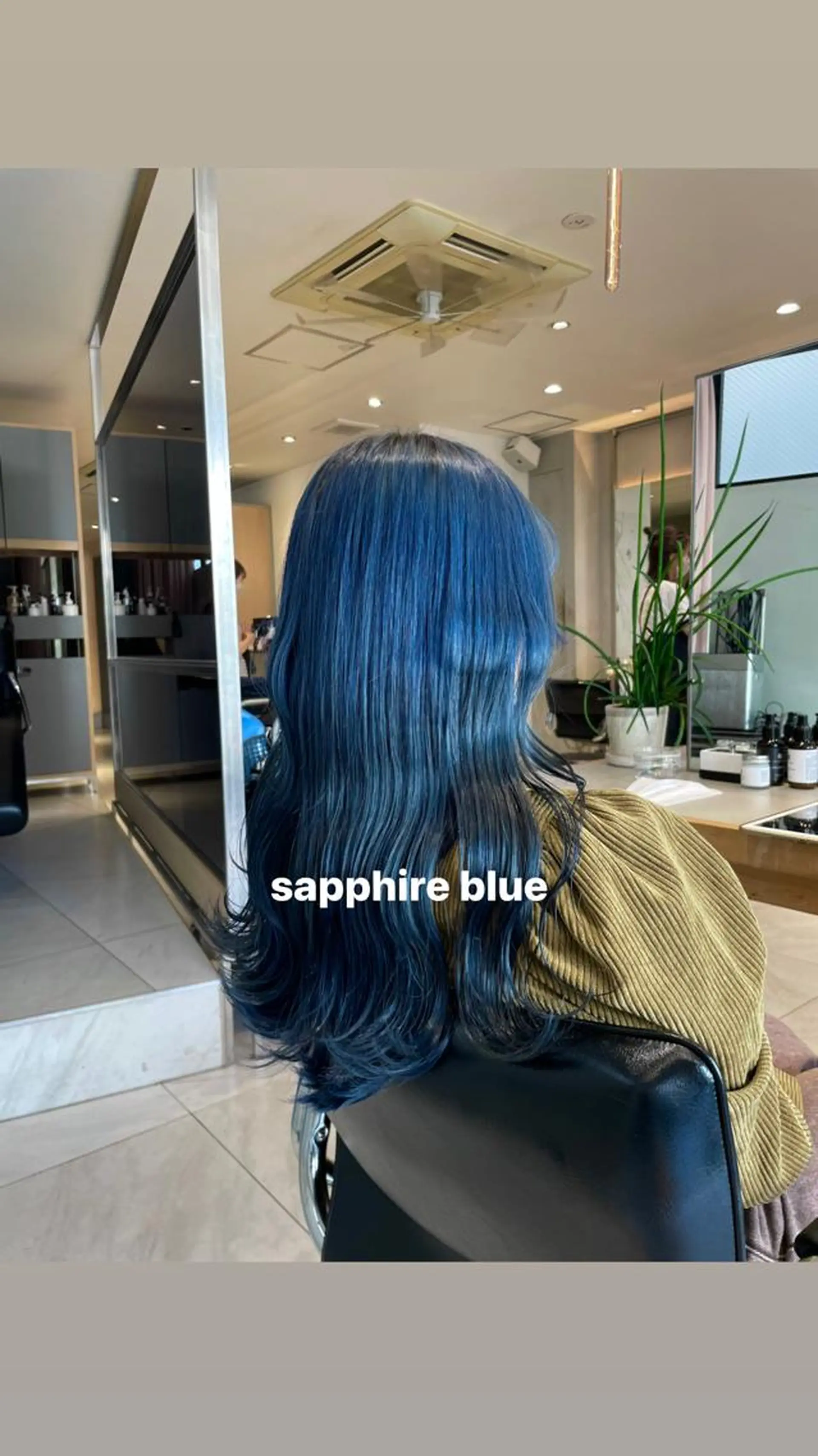 カラー ヘアカラー トリートメント ヘッドスパ ヘアセット miko🪽地毛風/ ハイトーン/レイヤーのヘアスタイル