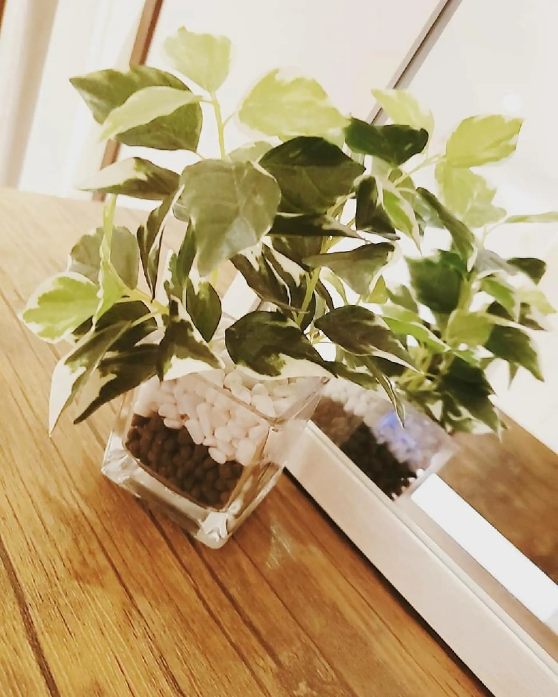 育乳専門店 Tulipeのエステ・リラクイメージ