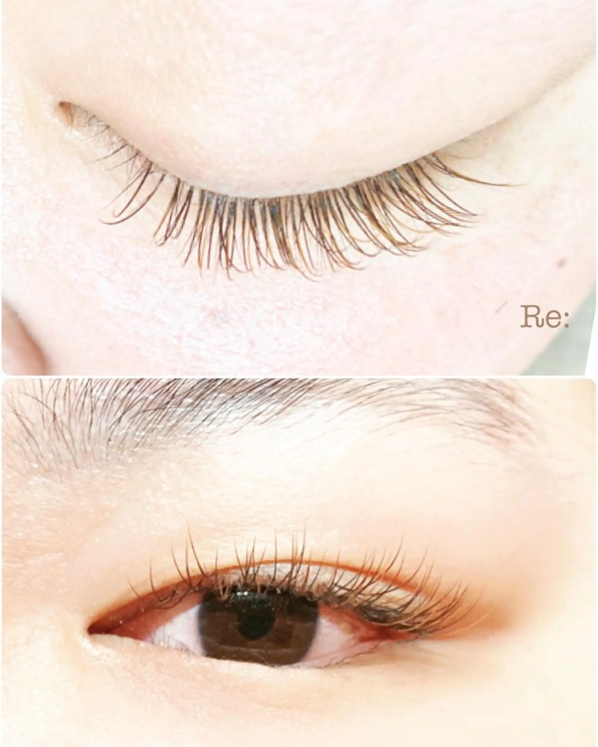 マツエク・マツパ Cカール カラーマツエク フラットラッシュ セーブル Lash Re：のマツエク・マツパデザイン