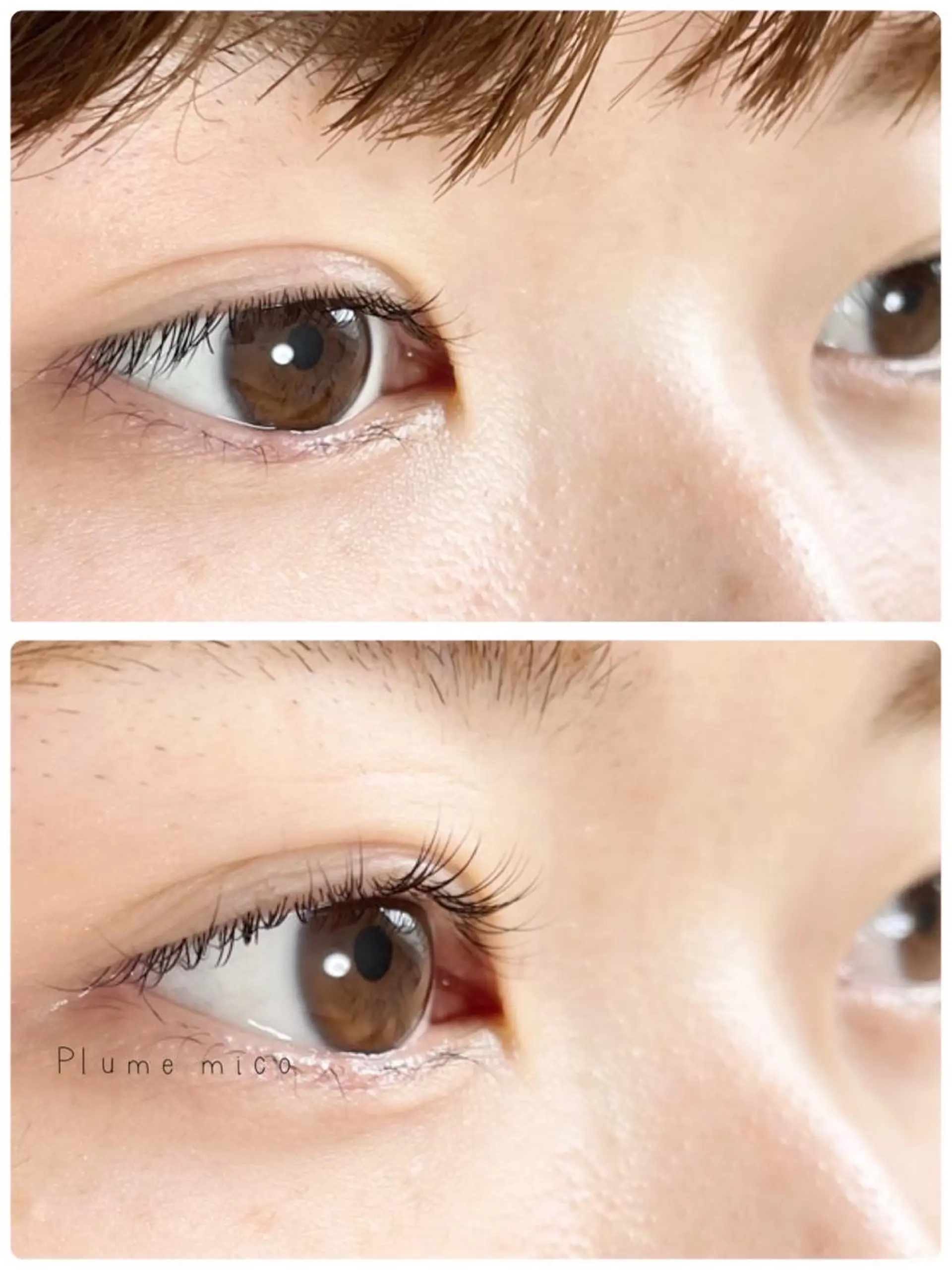 マツエク・マツパ パリジェンヌラッシュリフト マツパ Plume micoのマツエク・マツパデザイン