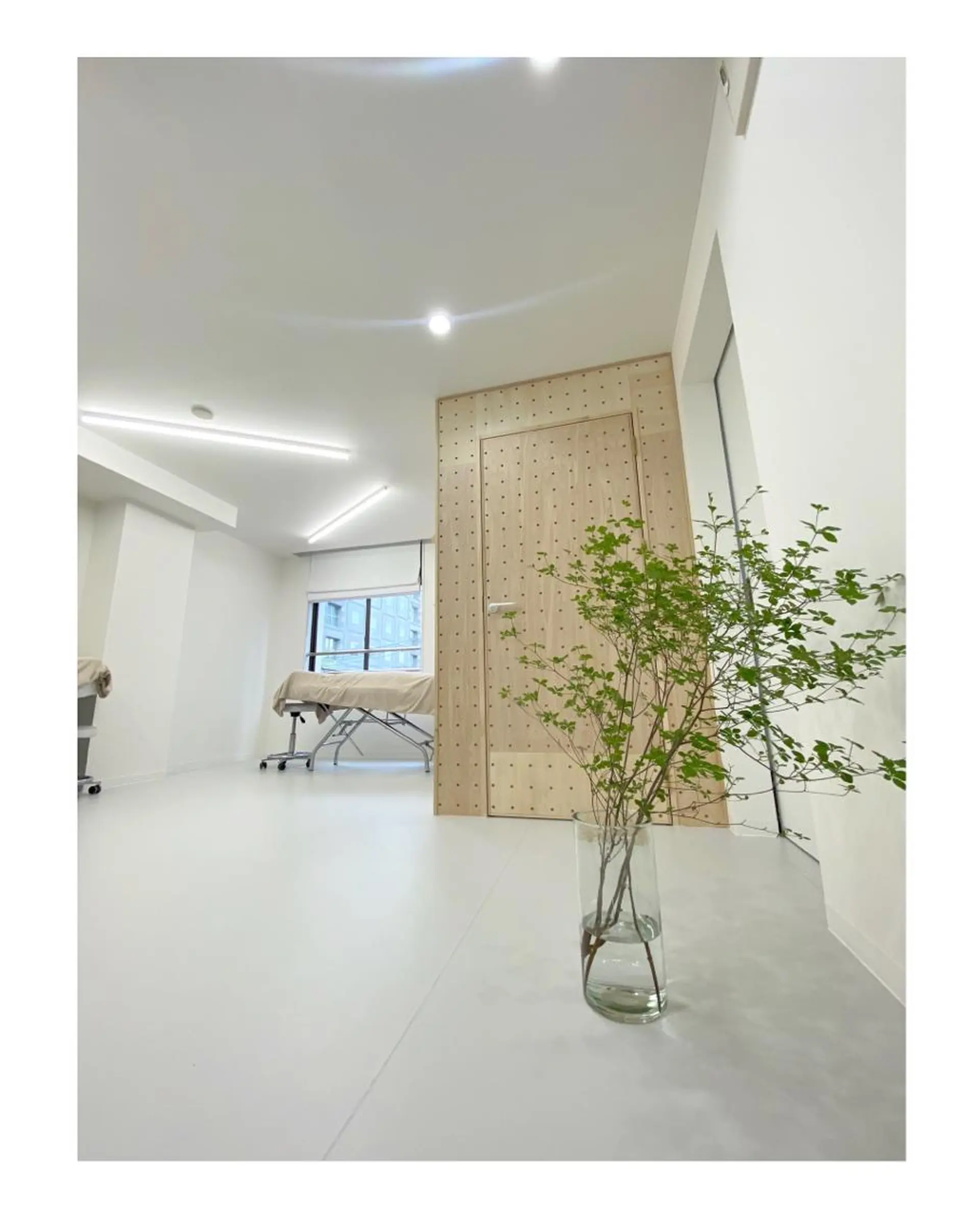 suu ｜harukaのマツエク・マツパデザイン