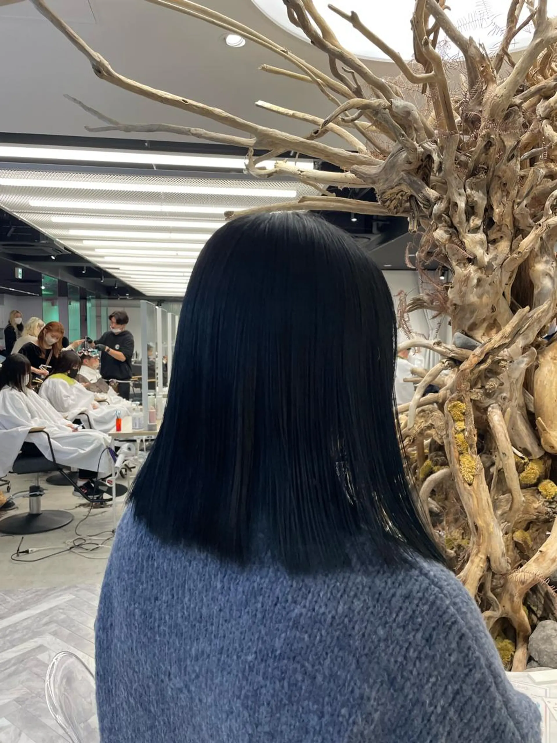 ミディアム カラー ヘアカラー 🧁はるひ/ ZEST Ivy🎀のヘアスタイル