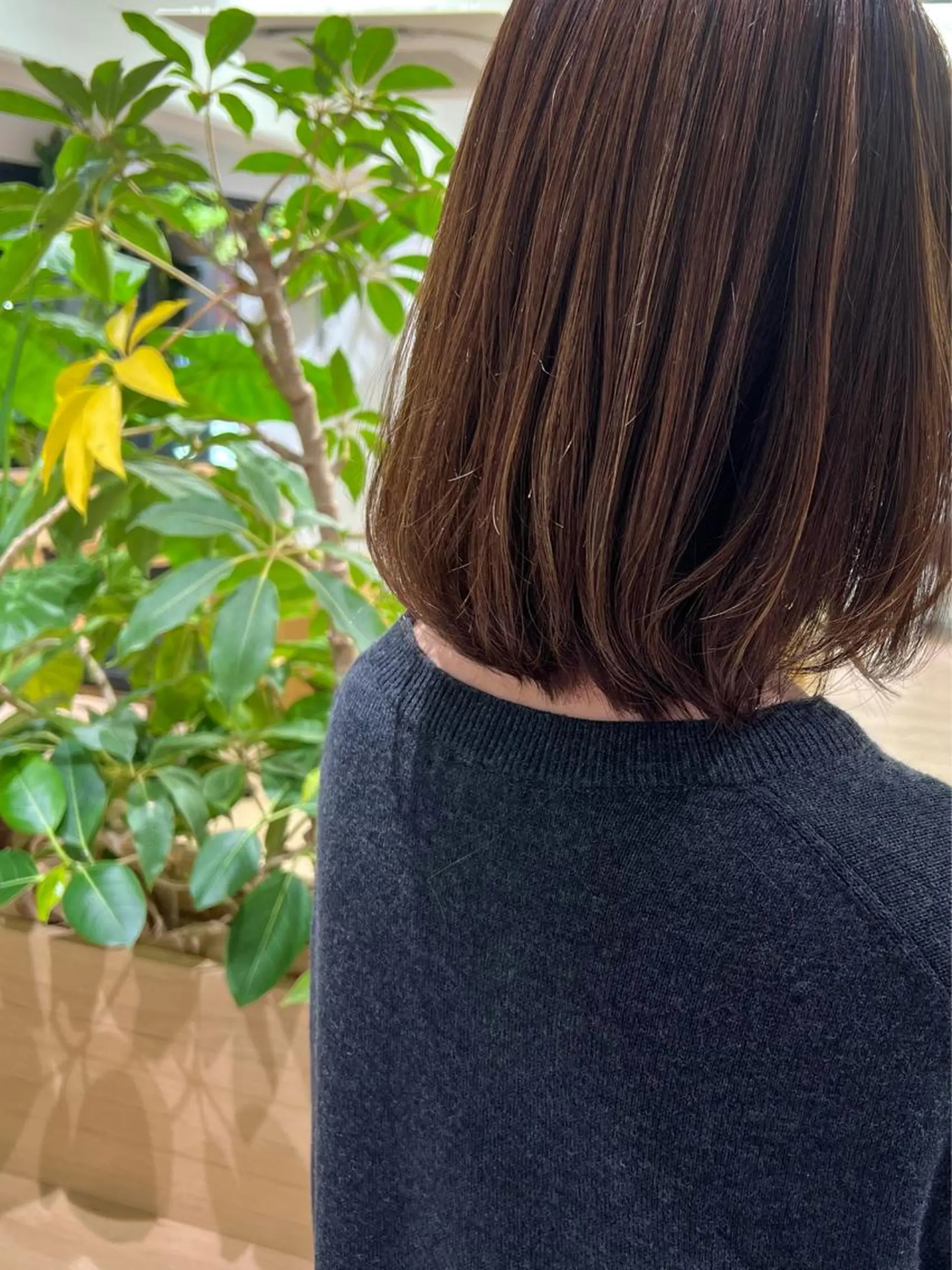 ミディアム カラー ハイライトカラー ハイライト 田中 愛梨のヘアスタイル