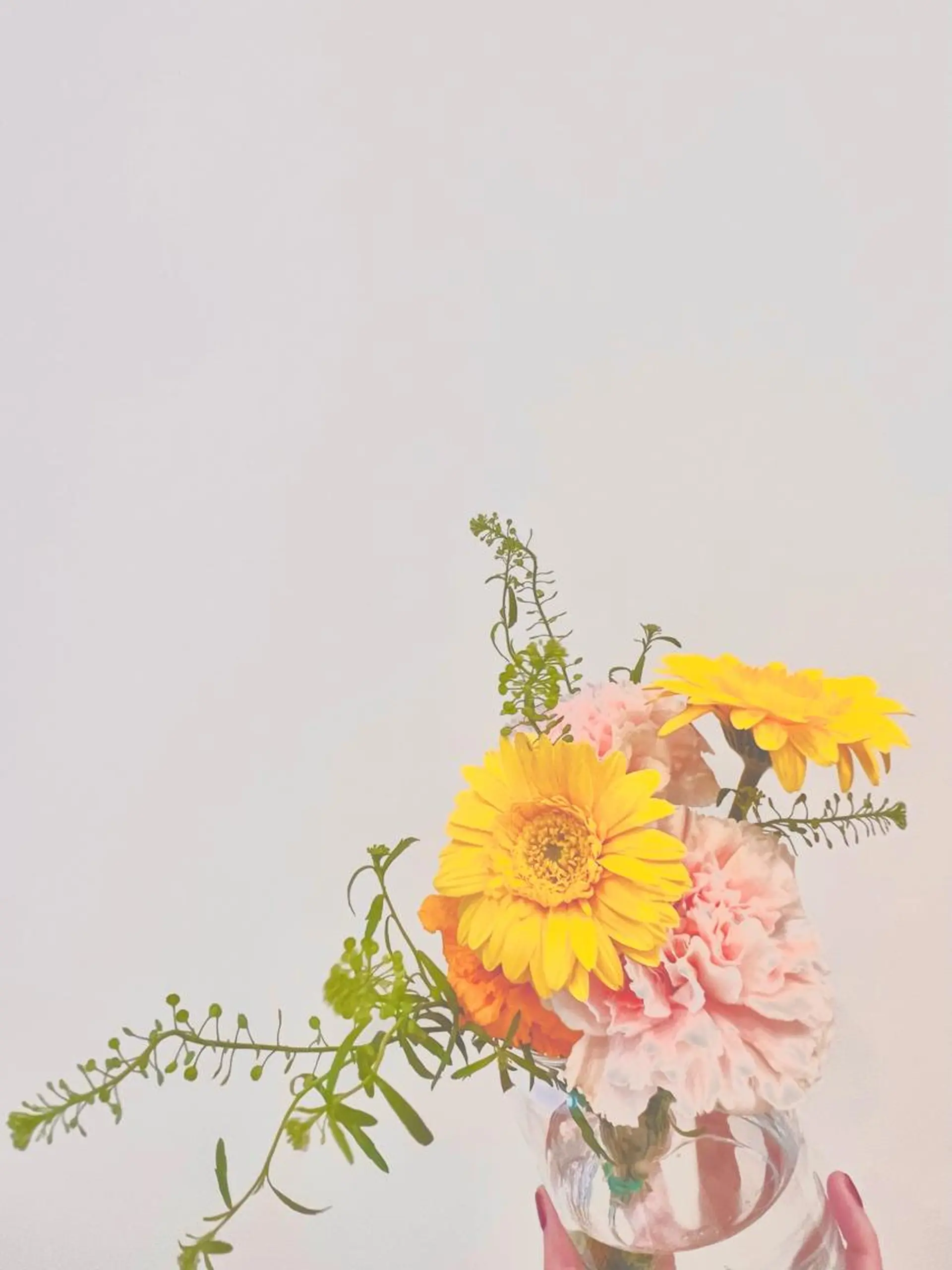 Largo🌿 明治神宮前／表参道のマツエク・マツパデザイン