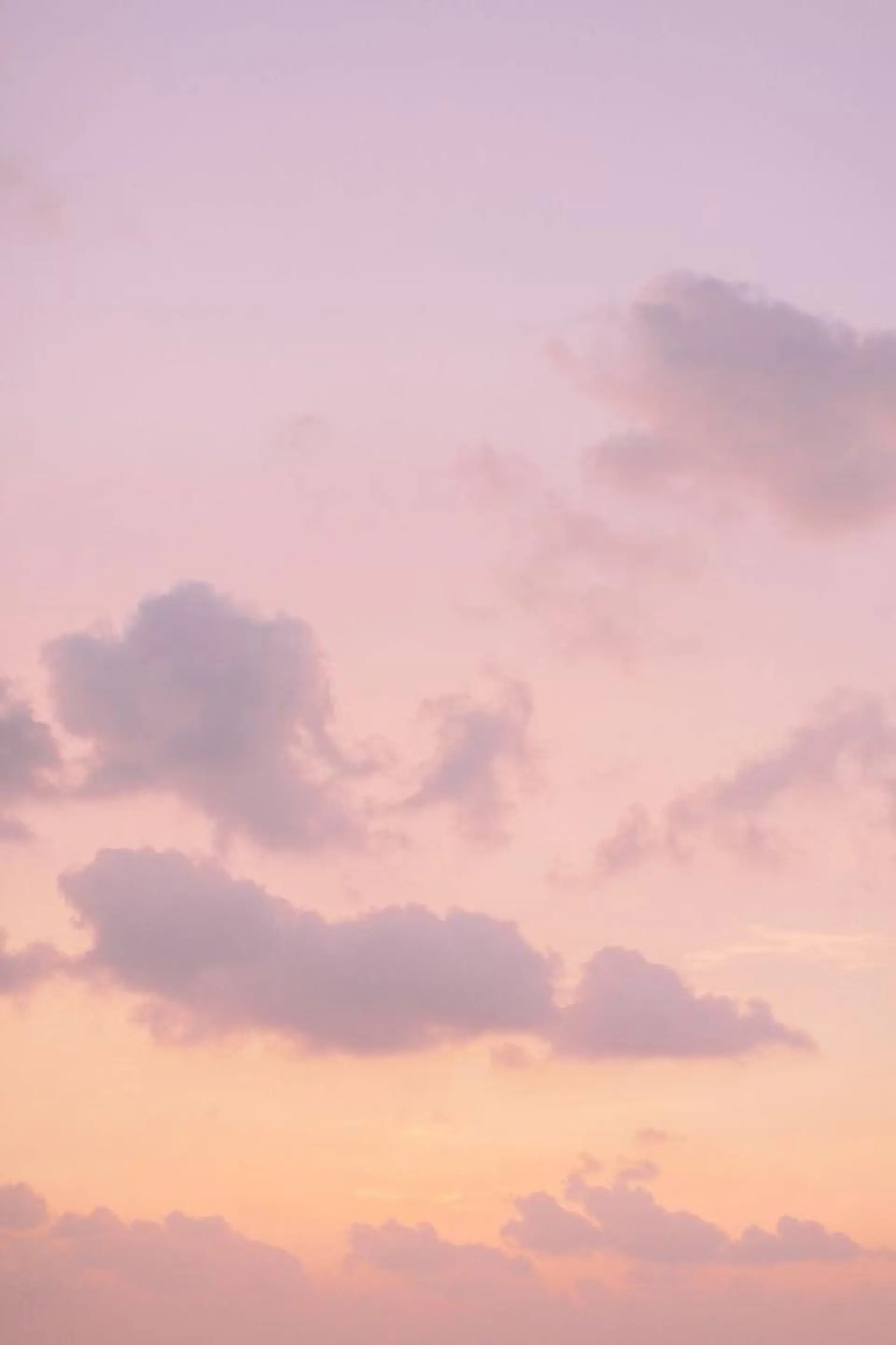 ショート パーマ ショートボブ✂︎ ウオタニコマキのヘアスタイル