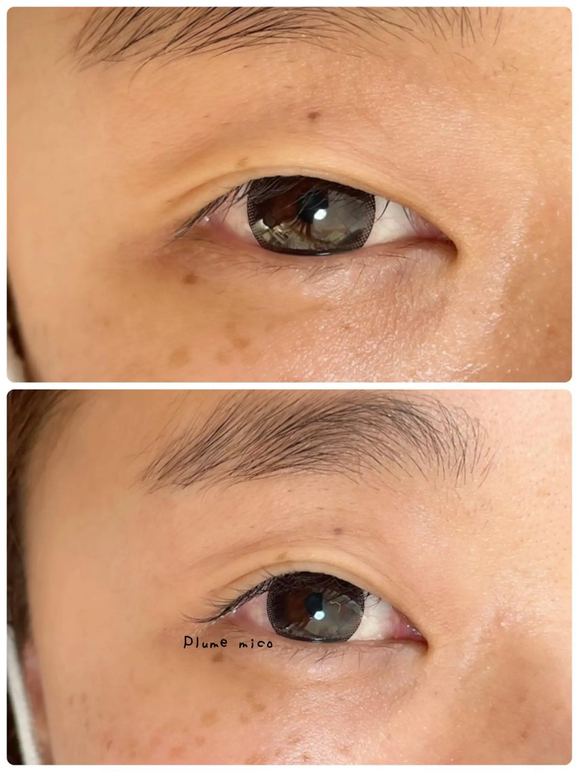 マツエク・マツパ マツエク Plume micoのマツエク・マツパデザイン