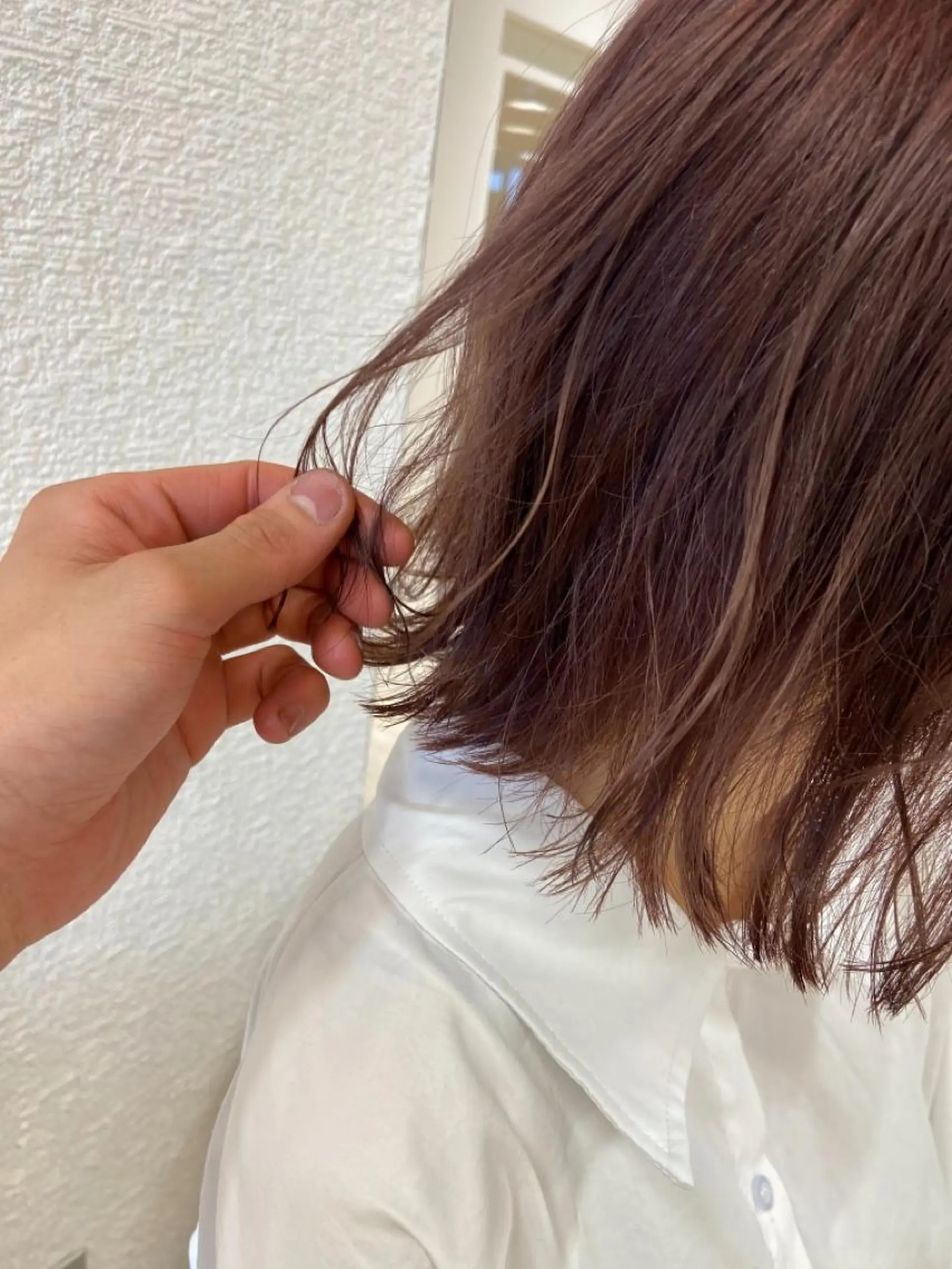 ショート カラー ハイトーン/ウルフ /レイヤー/坂野幸伸のヘアスタイル