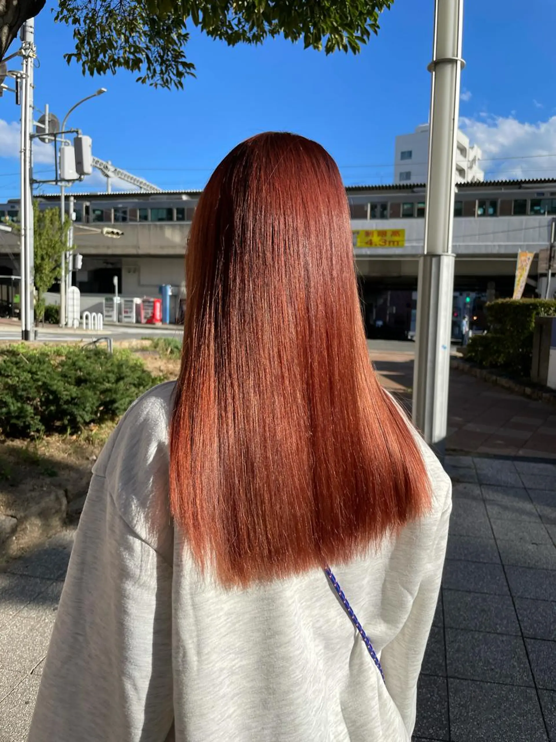 ロング カラー カラー/髪質改善 レイヤー/vagueのヘアスタイル