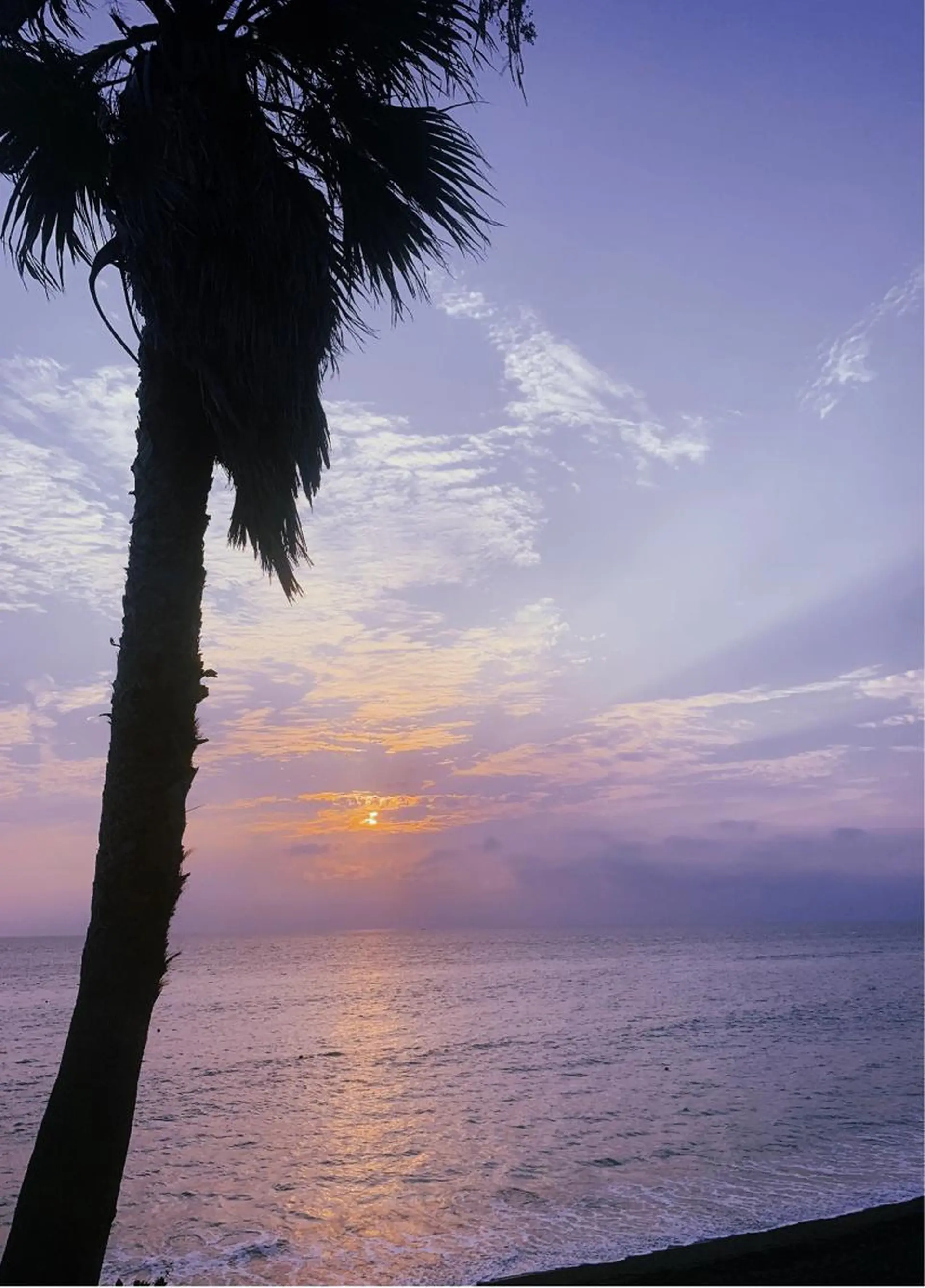 𝐘𝐎𝐒𝐇𝐈 𝐌𝐈🌞🏝のマツエク・マツパデザイン