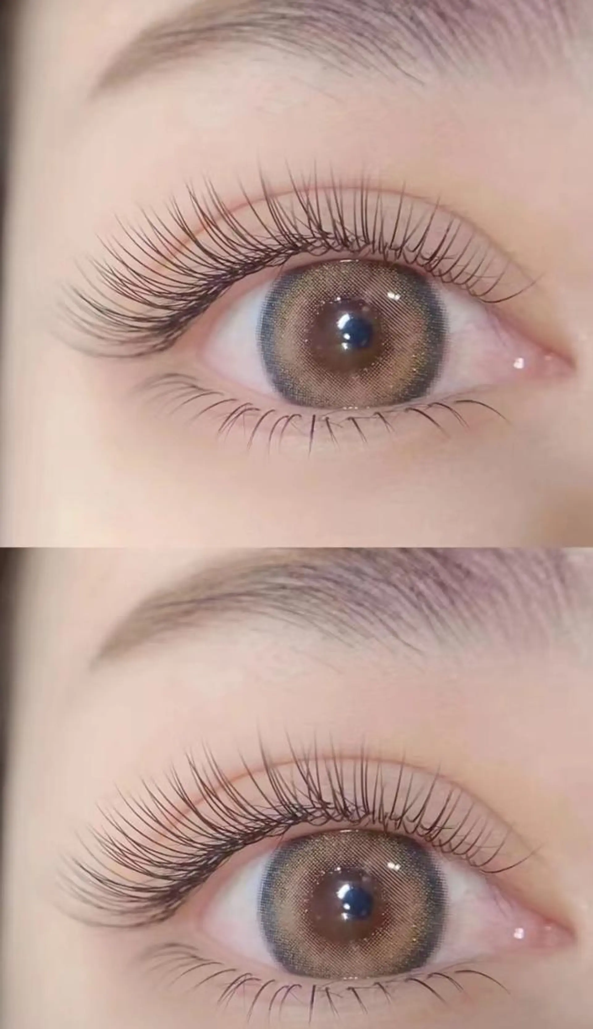 マツエク・マツパ 神保町マツパマツエク ミィアのマツエク・マツパデザイン