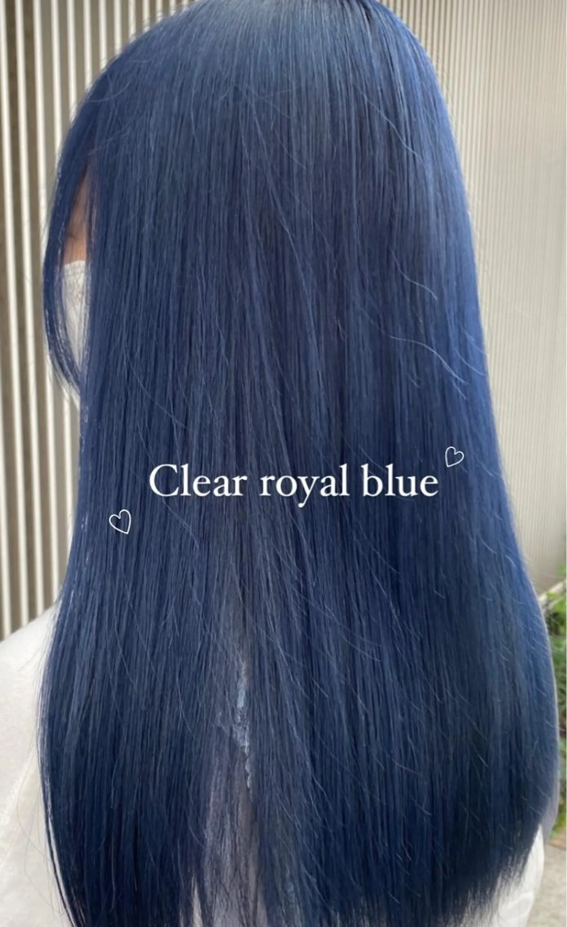 セミロング カラー ヘアアレンジ アンククロス渋谷【ANKH CROSS】所属・韓国ヘア┊︎レイヤー ┊︎haruka🌙のヘアスタイル