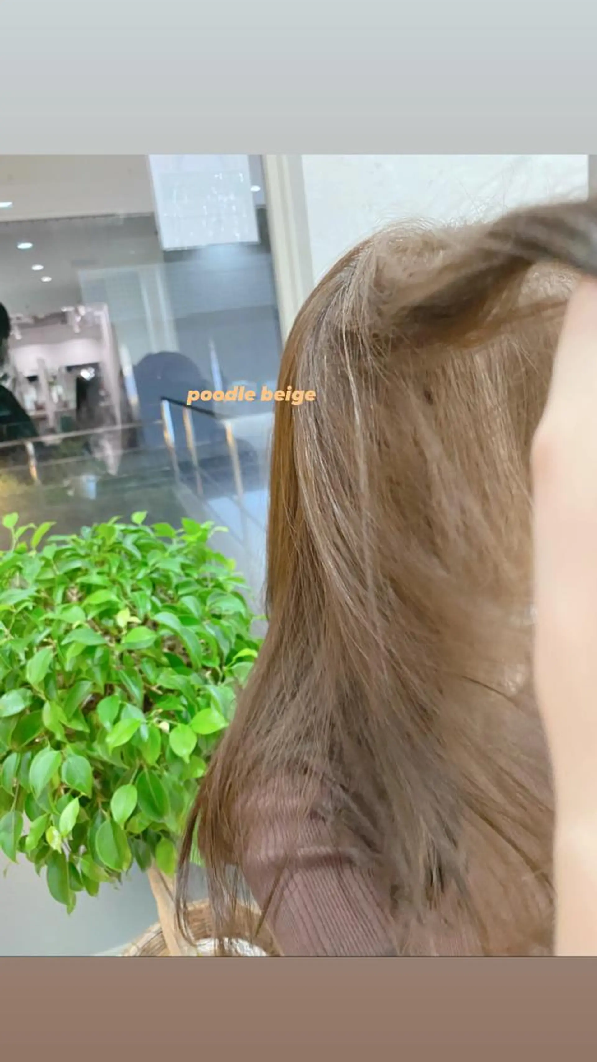 セミロング 垢抜けのプロ🪄 honoのヘアスタイル