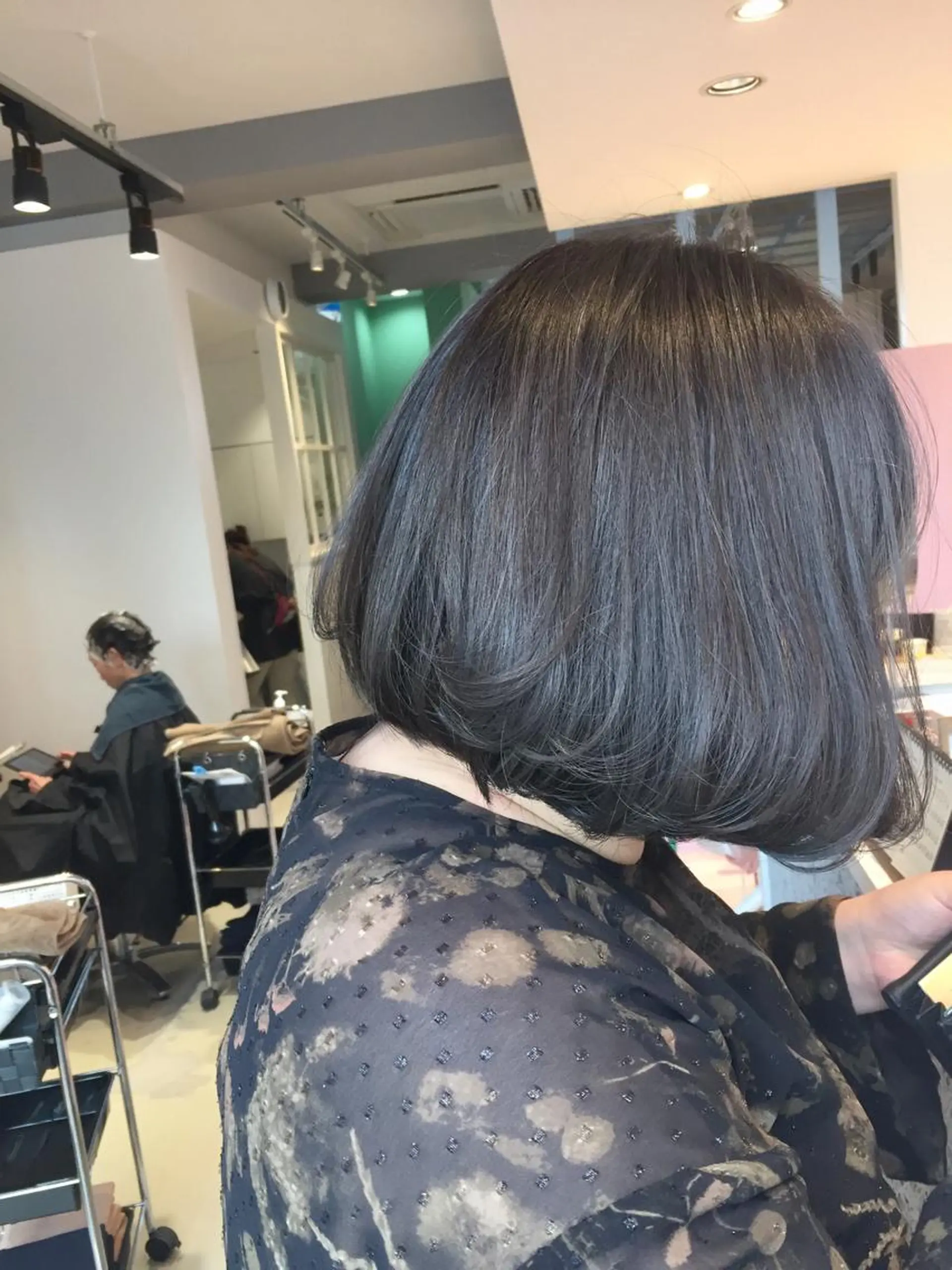 ミディアム アッシュ カット ヘアカラー トリートメント 所渉/韓国レイヤー /ウルフカットのヘアスタイル