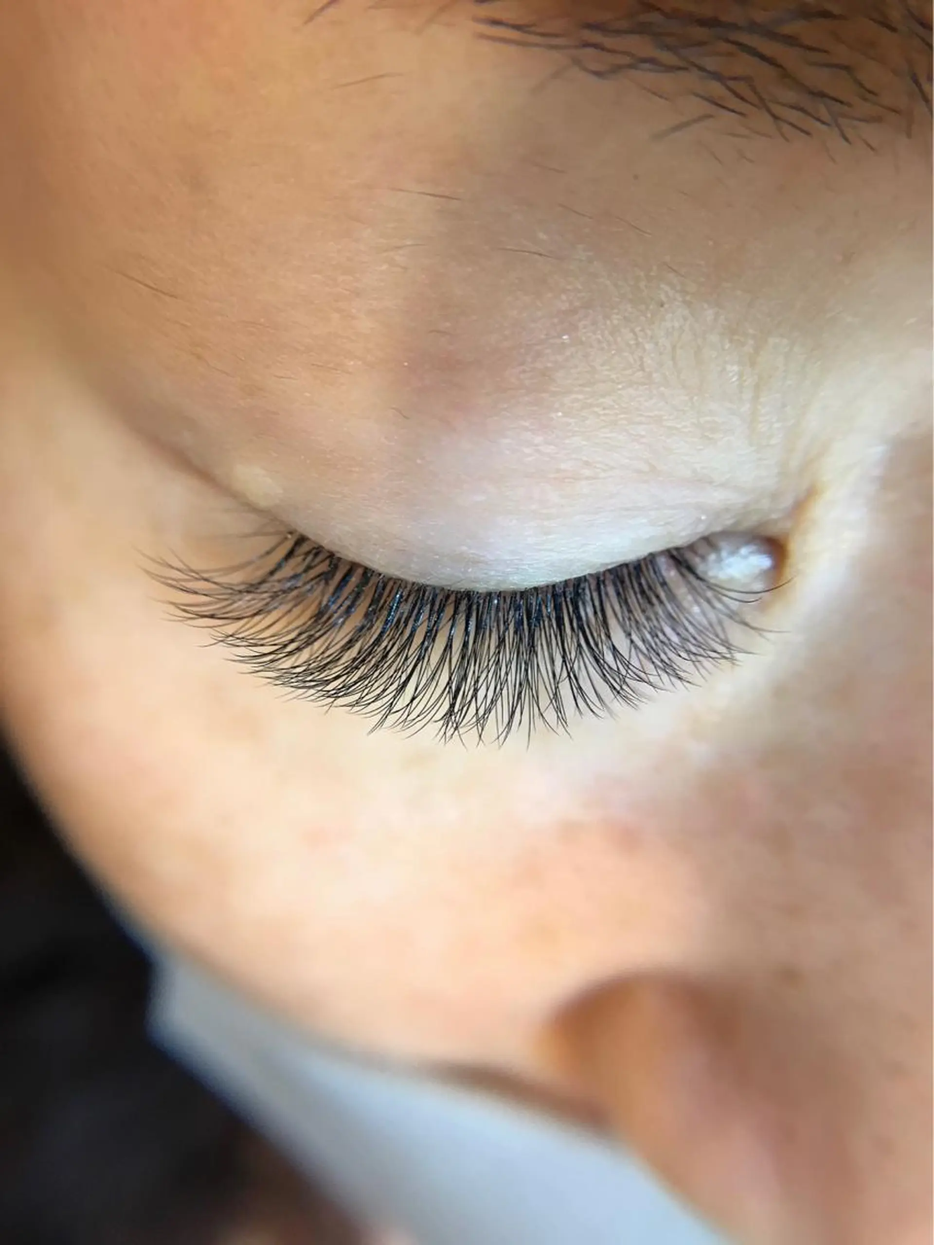 マツエク・マツパ ボリュームラッシュ PRIMO🐈🌱 マツパ/黒ティントのマツエク・マツパデザイン