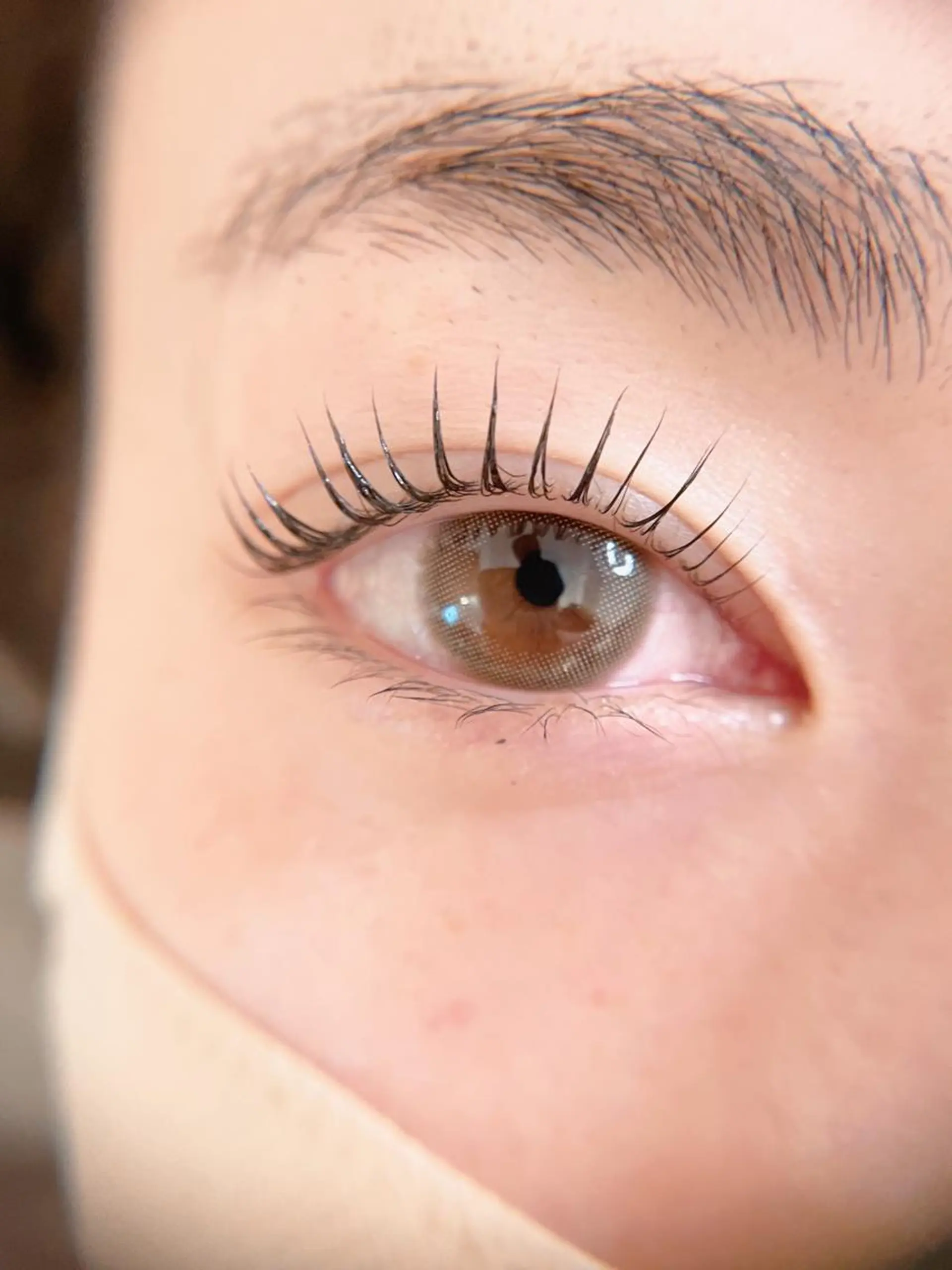 マツエク・マツパ 束感まつ毛 一重×まつ毛パーマ Chante Lily所属・森崎 麗のマツエク・マツパデザイン