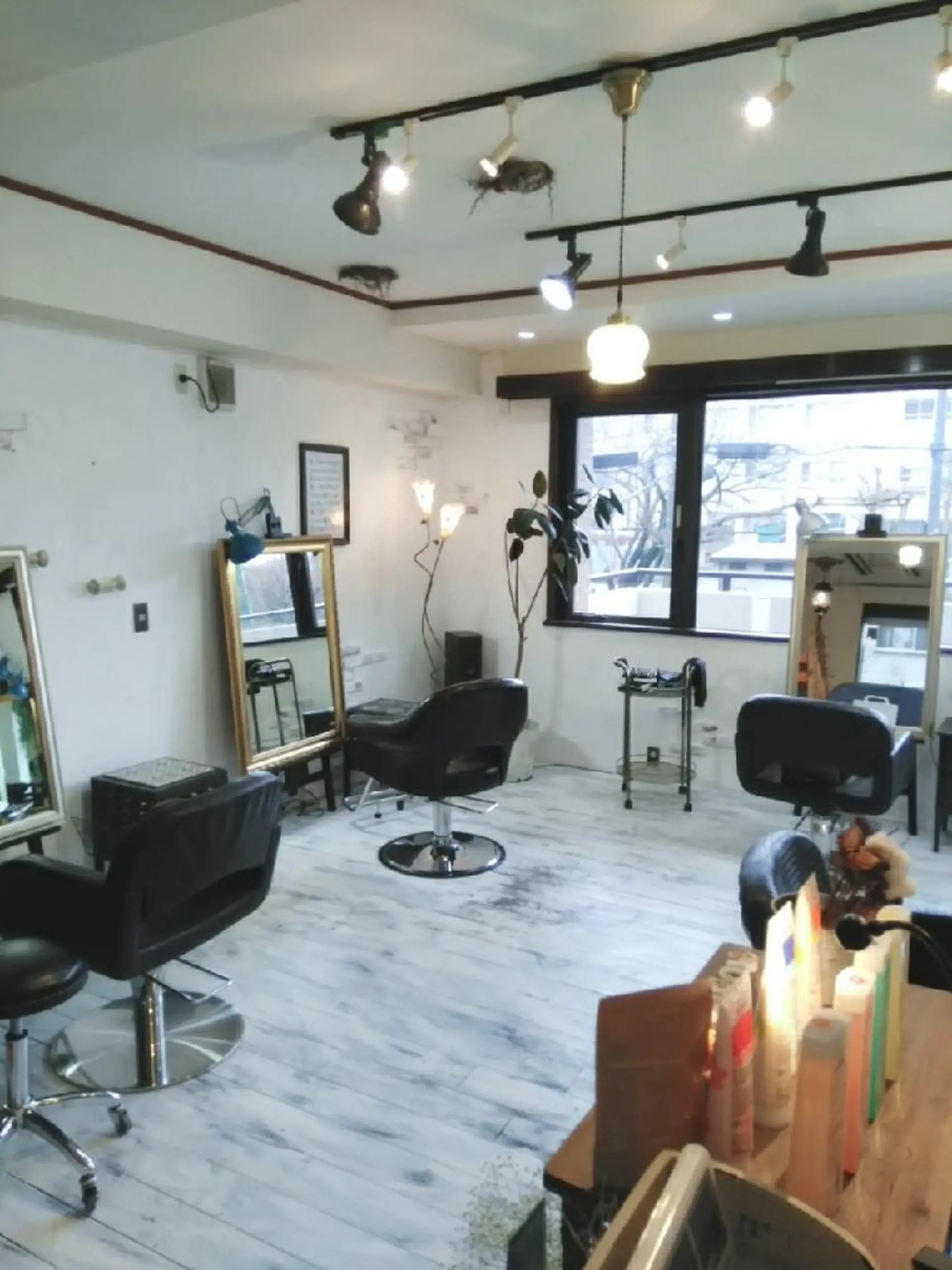 Roa所属・🪞🫧豊田美優/ まつげパーマ🫧🪞のマツエク・マツパデザイン