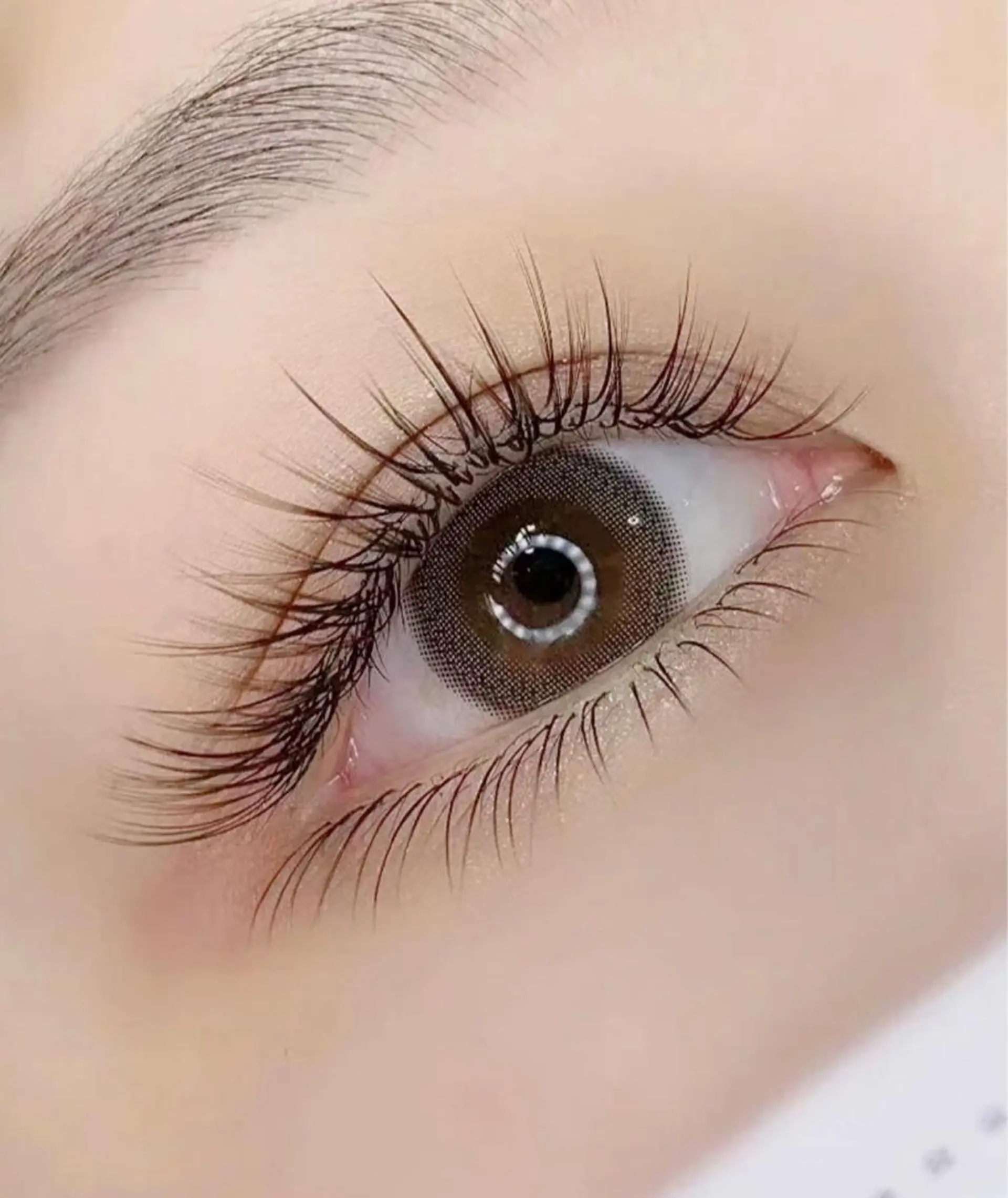 マツエク・マツパ マツエク Angela エステサロンのマツエク・マツパデザイン